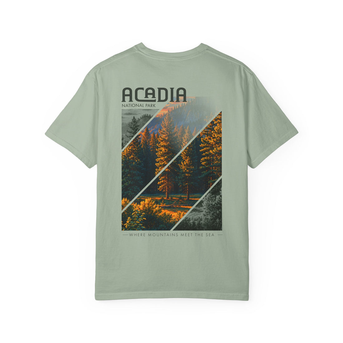Acadia National Park Pine Trees Graphic T-Shirt