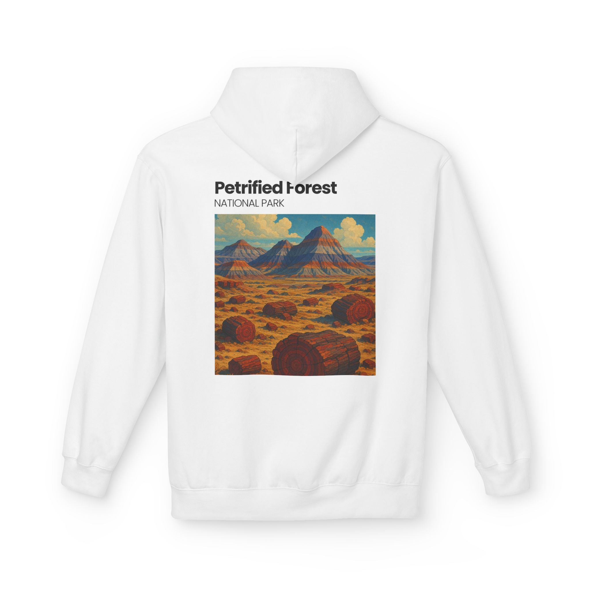 Petrified Forest National Park Hoodie | Vintage Desert Landscape