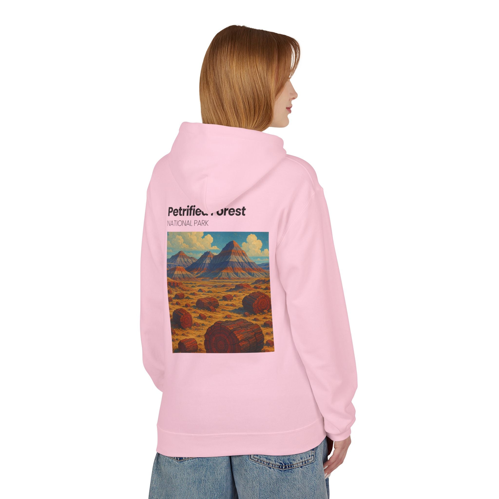 Petrified Forest National Park Hoodie | Vintage Desert Landscape