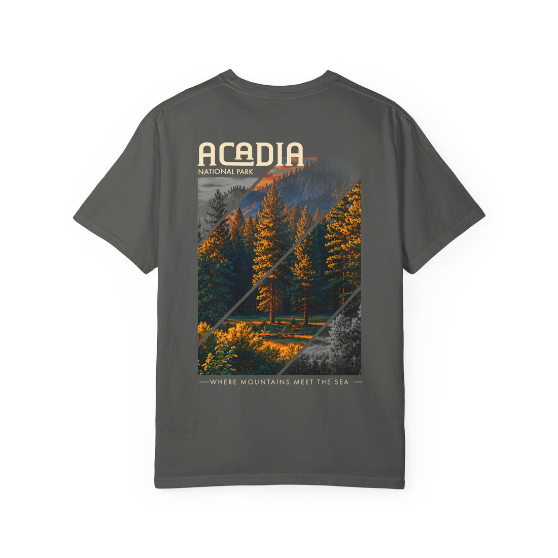 Acadia National Park Pine Trees Graphic T-Shirt