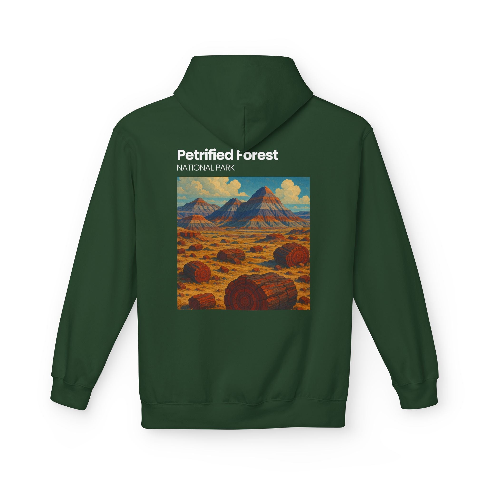 Petrified Forest National Park Hoodie | Vintage Desert Landscape