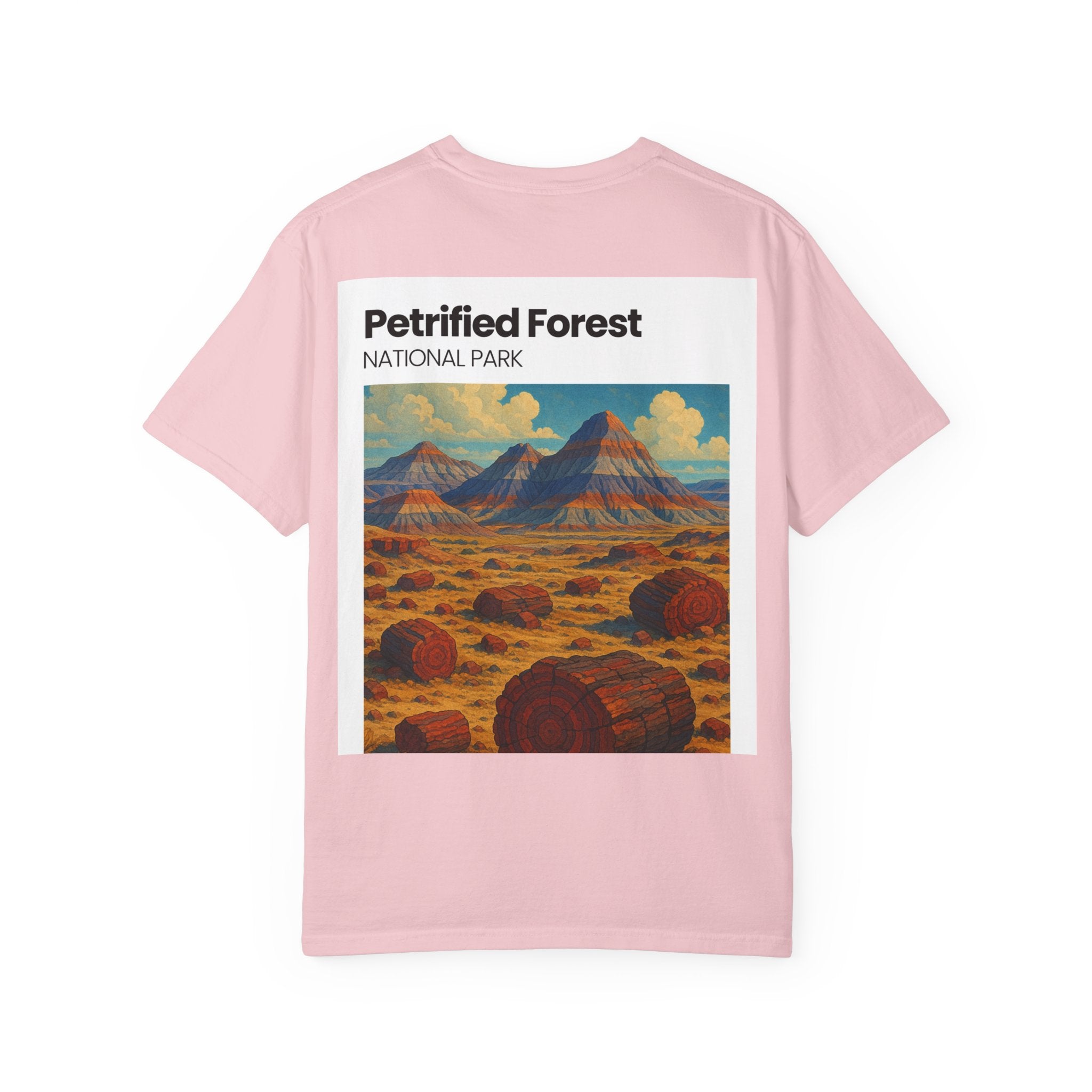 Petrified Forest National Park Poster T-shirt | Vintage Landscape Print