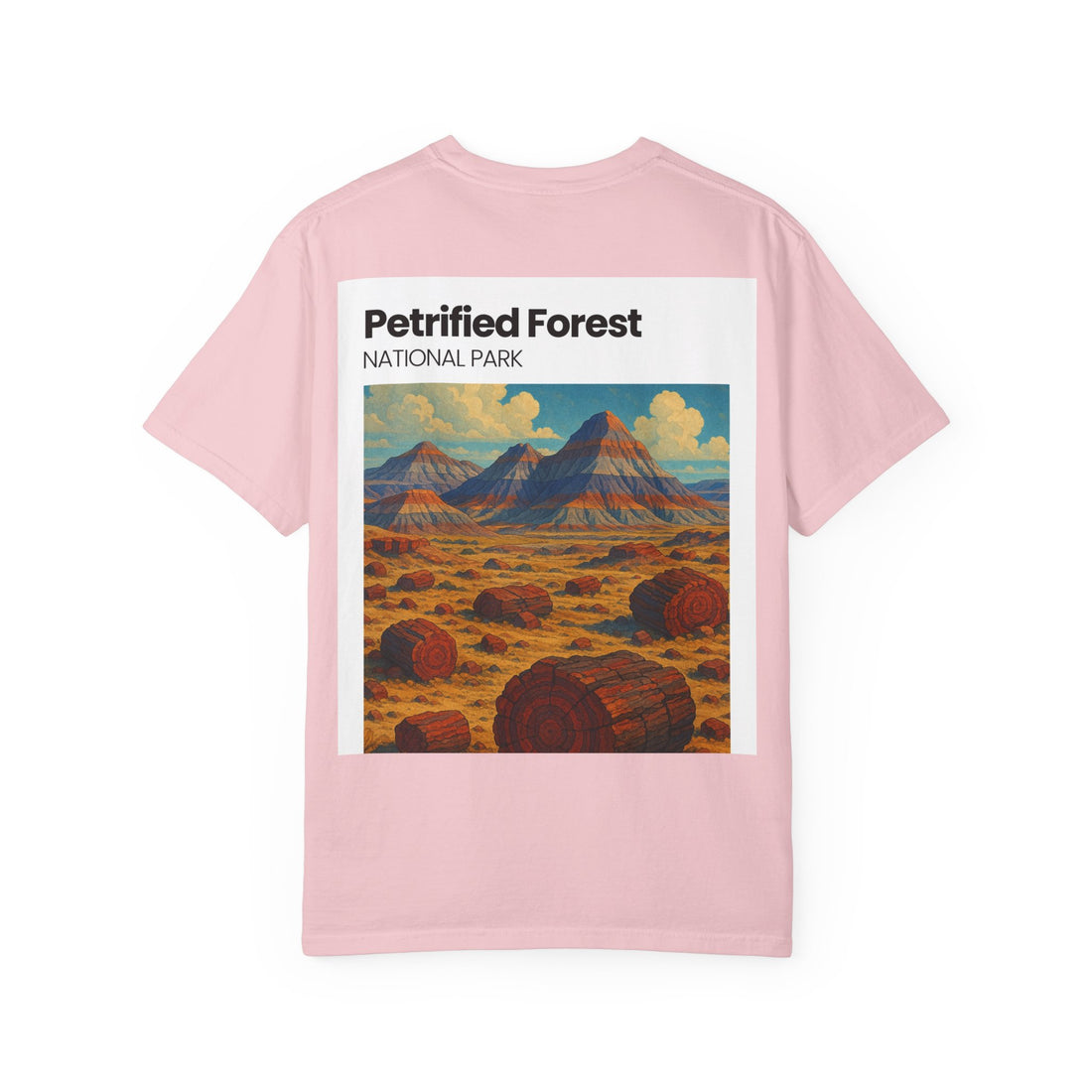 Petrified Forest National Park Poster T-shirt | Vintage Landscape Print