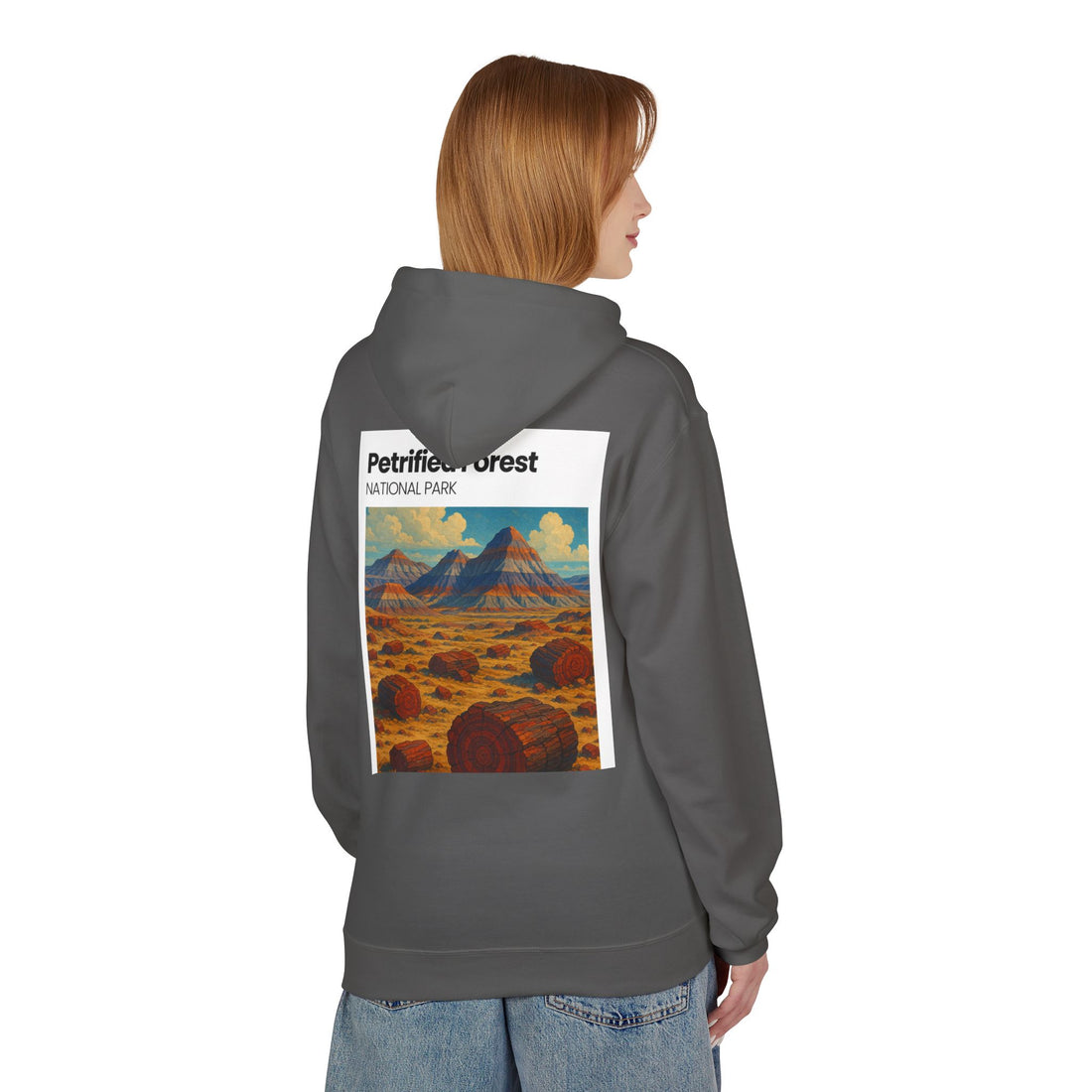 Petrified Forest National Park Hoodie | Vintage Desert Landscape
