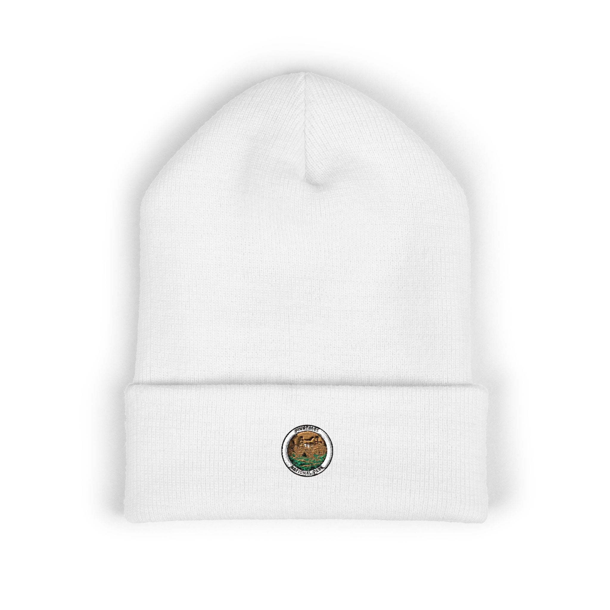 Cooked Ramen Bowl Beanie | Cuffed Embroidered Beanie