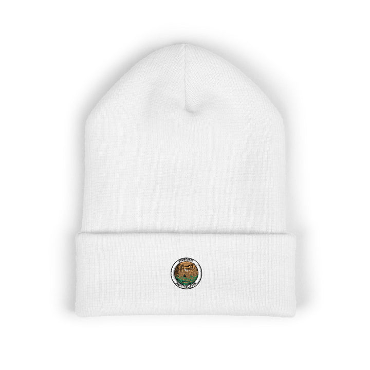 Cooked Ramen Bowl Beanie | Cuffed Embroidered Beanie