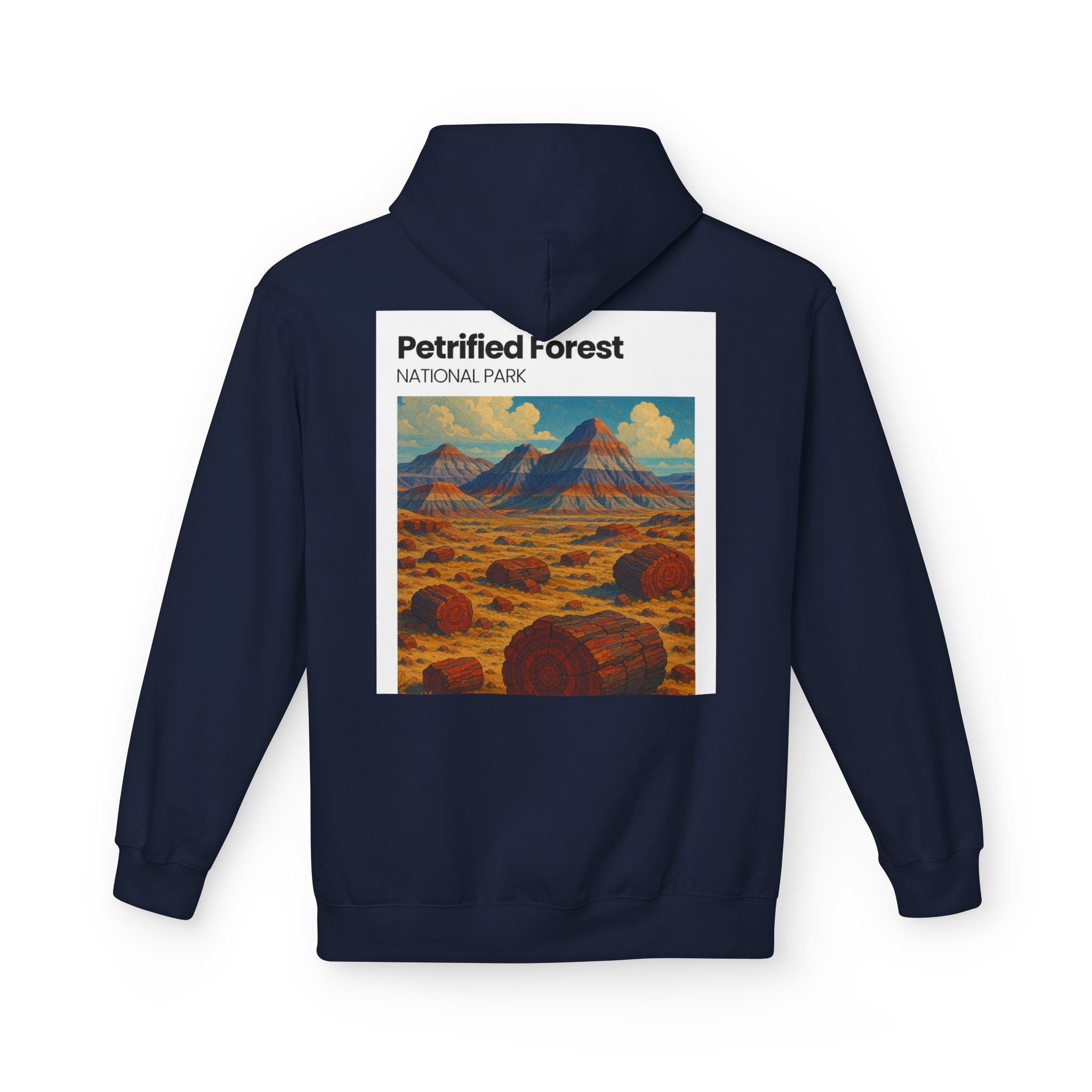 Petrified Forest National Park Hoodie | Vintage Desert Landscape