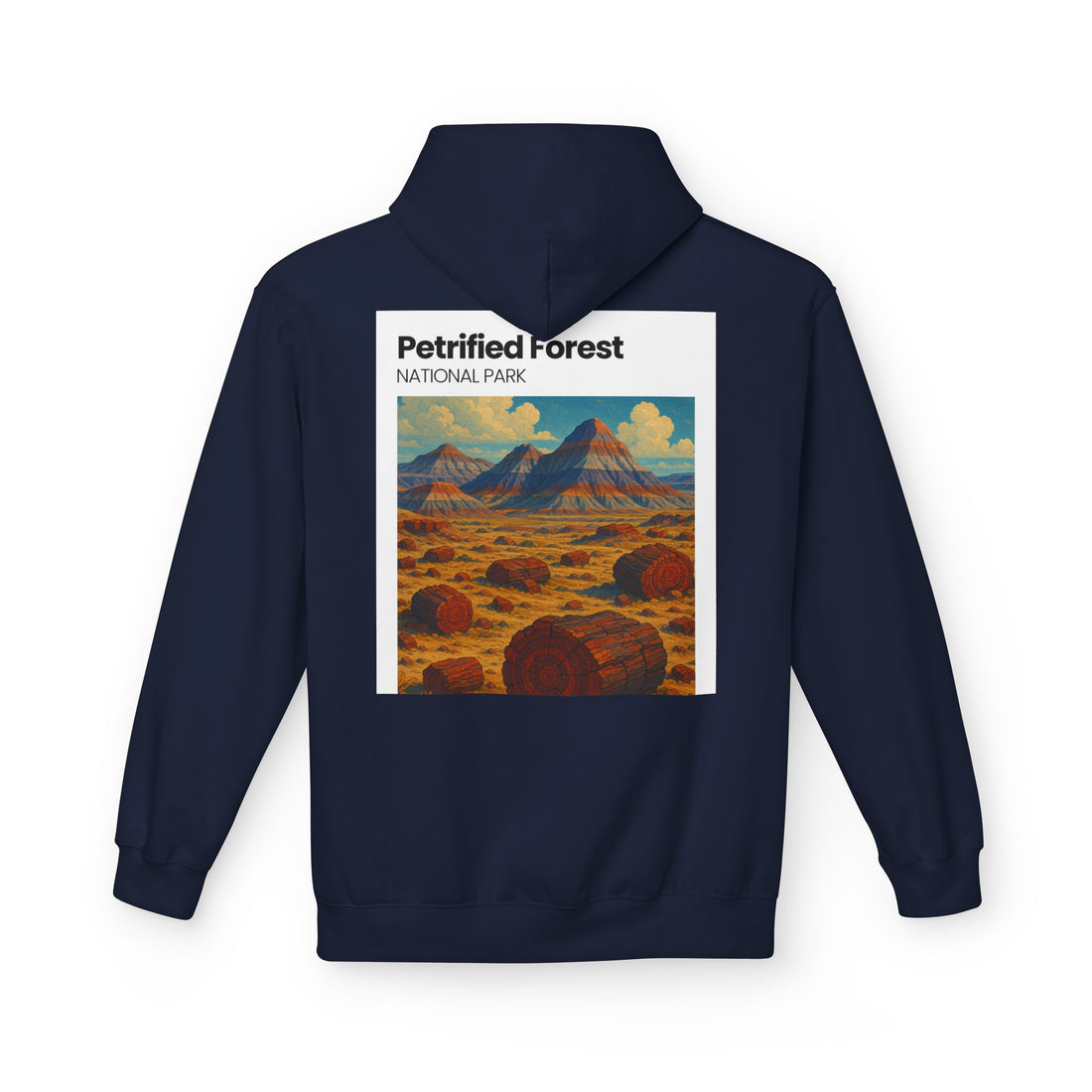 Petrified Forest National Park Hoodie | Vintage Desert Landscape