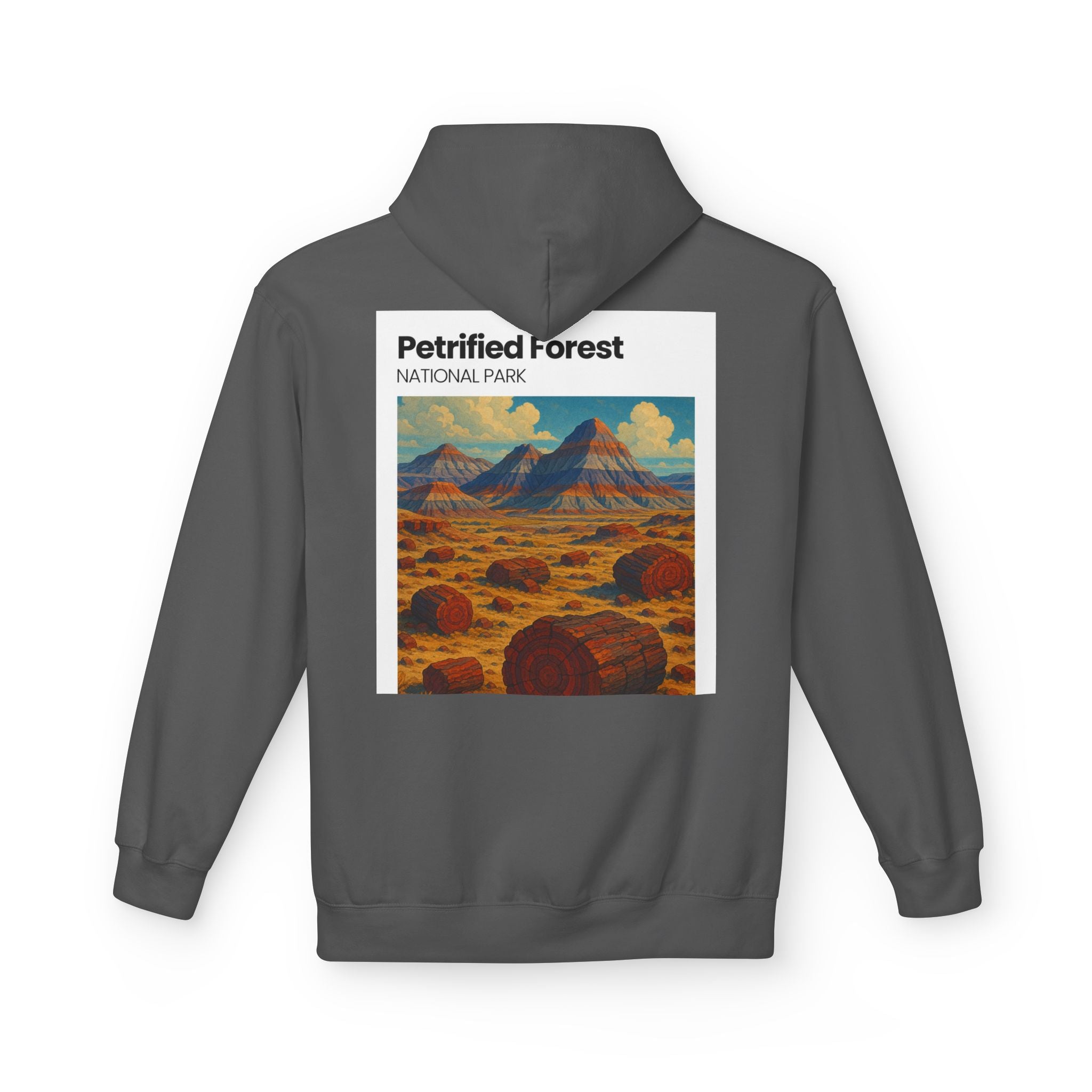 Petrified Forest National Park Hoodie | Vintage Desert Landscape
