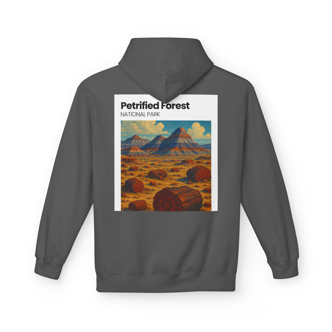 Petrified Forest National Park Hoodie | Vintage Desert Landscape