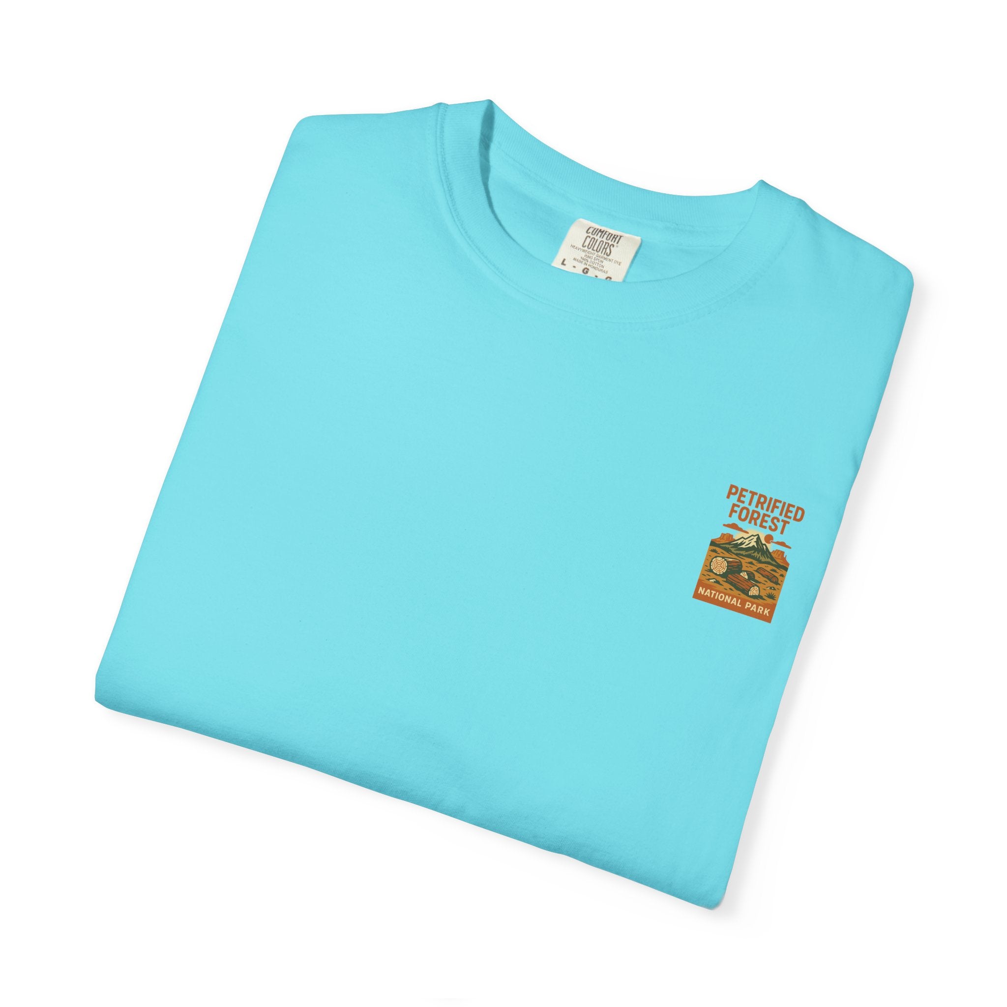 Petrified Forest National Park Poster T-shirt | Vintage Landscape Print