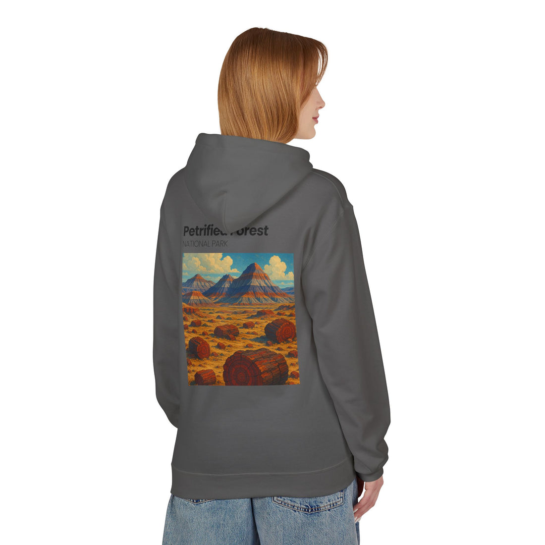 Petrified Forest National Park Hoodie | Vintage Desert Landscape