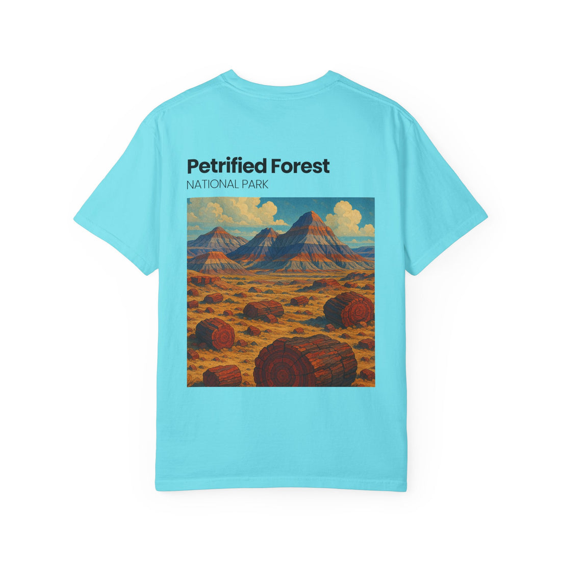 Petrified Forest National Park Poster T-shirt | Vintage Landscape Print