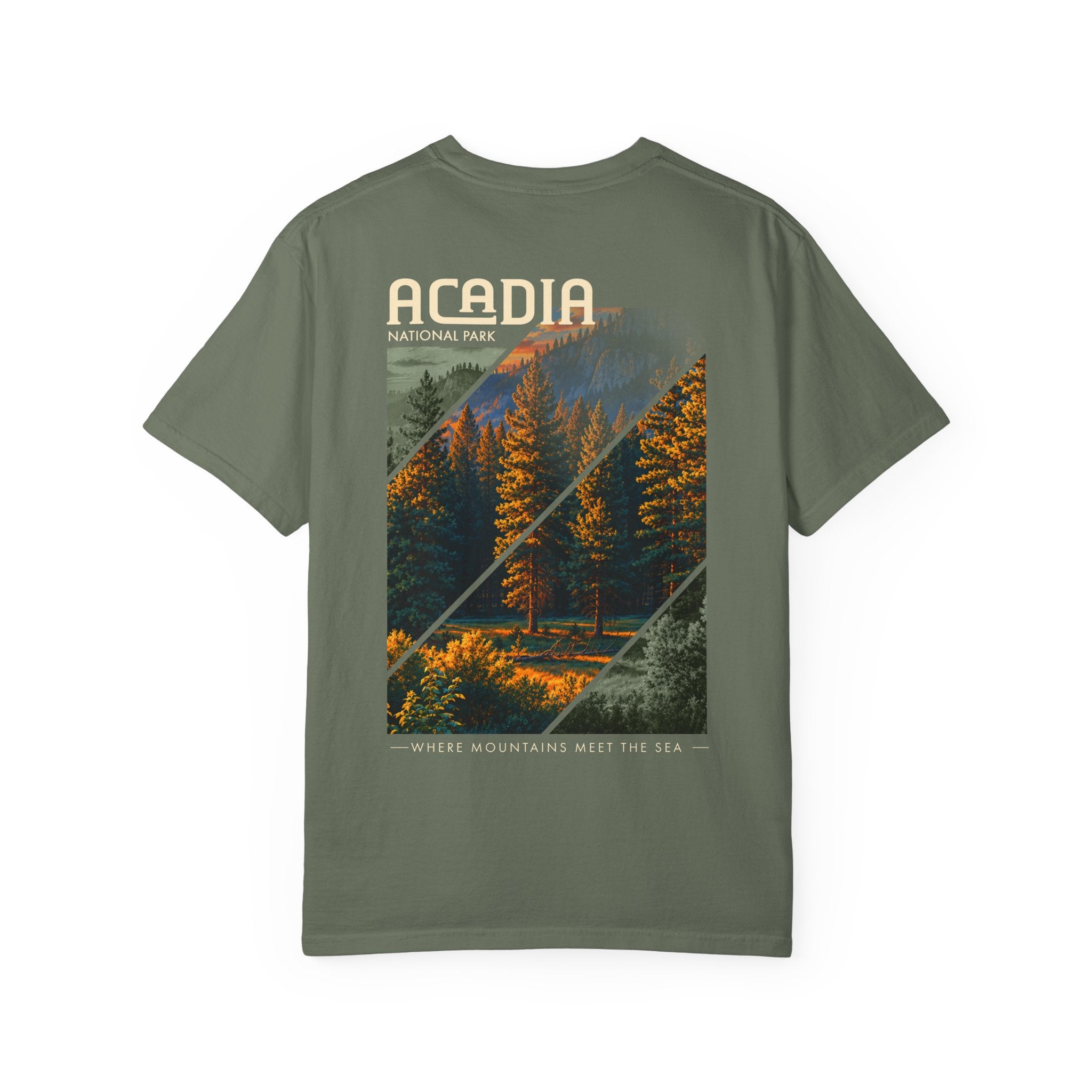 Acadia National Park Pine Trees Graphic T-Shirt