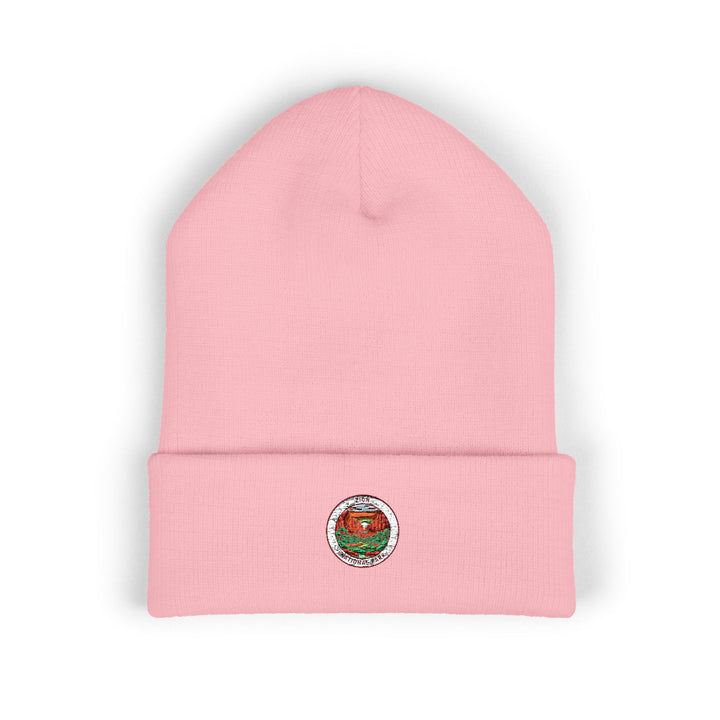 Classic Cuffed Beanie (Embroidery)