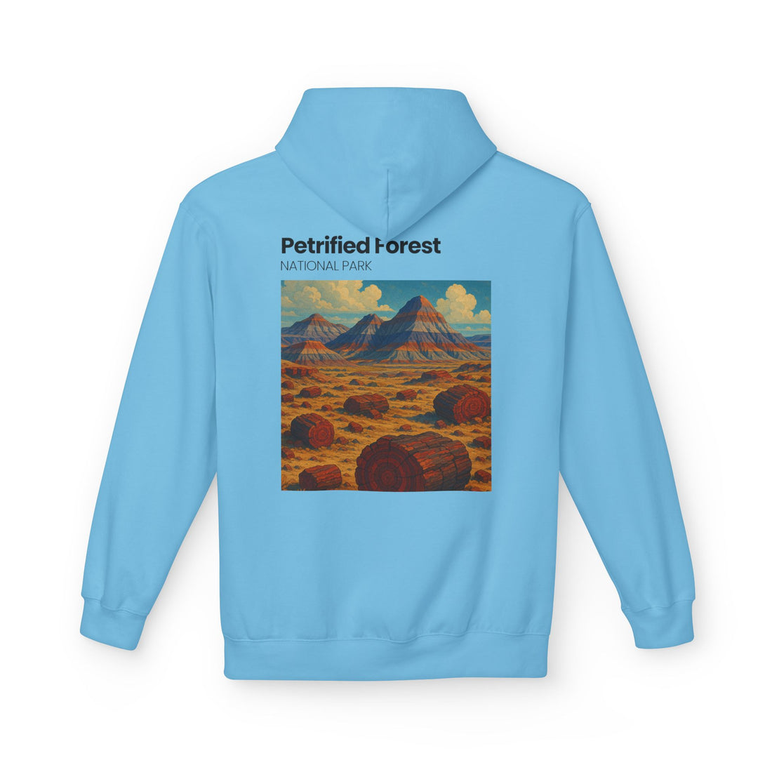 Petrified Forest National Park Hoodie | Vintage Desert Landscape