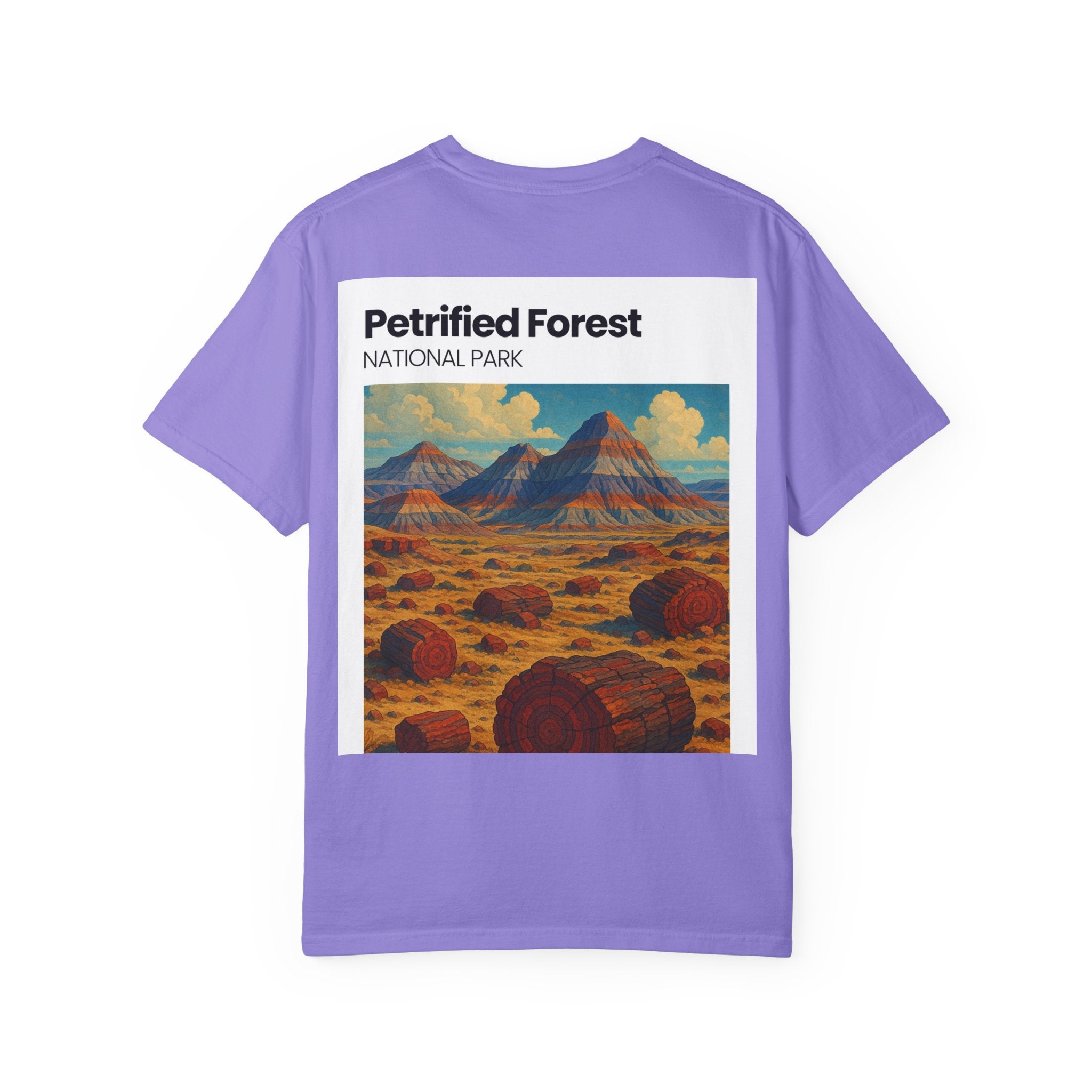 Petrified Forest National Park Poster T-shirt | Vintage Landscape Print