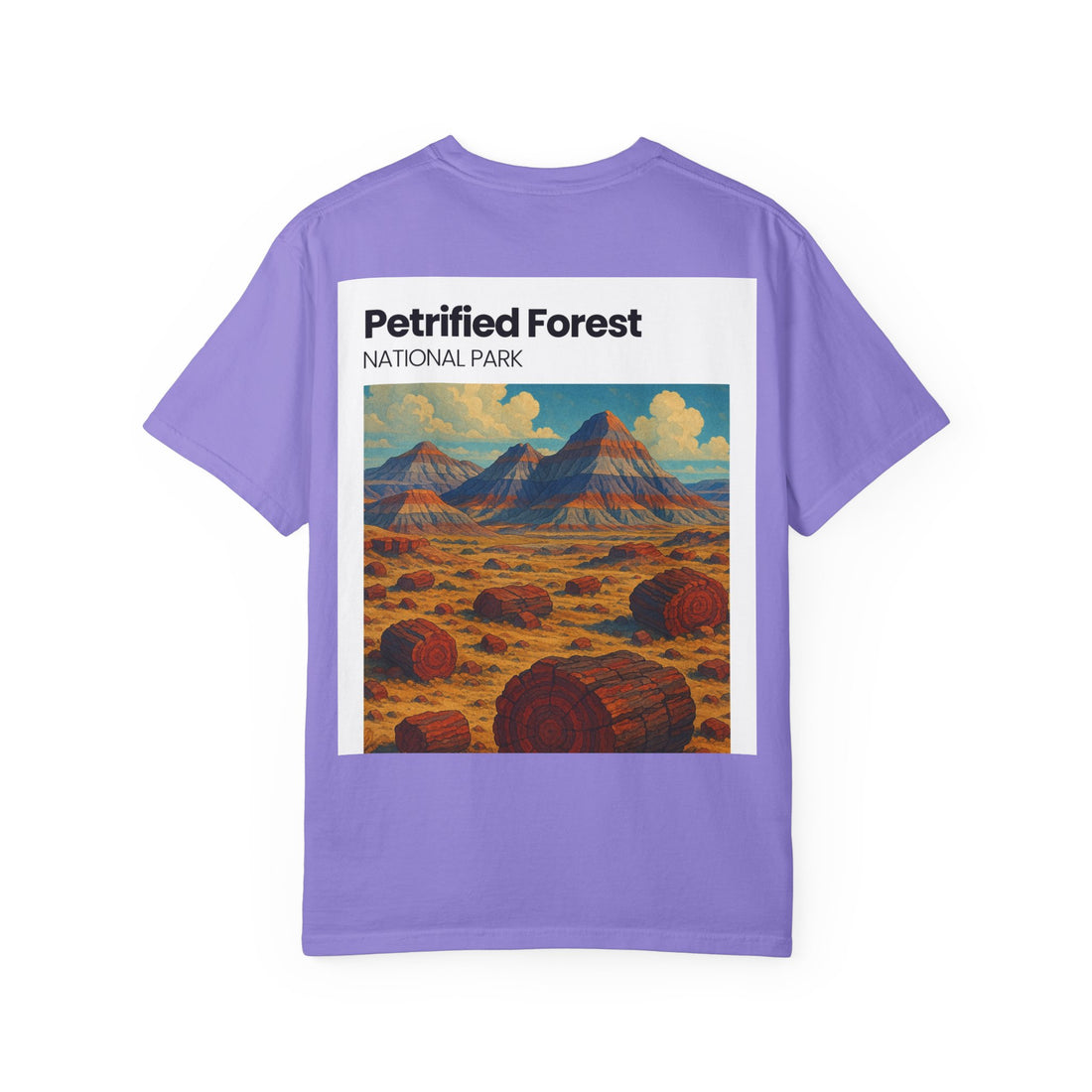 Petrified Forest National Park Poster T-shirt | Vintage Landscape Print