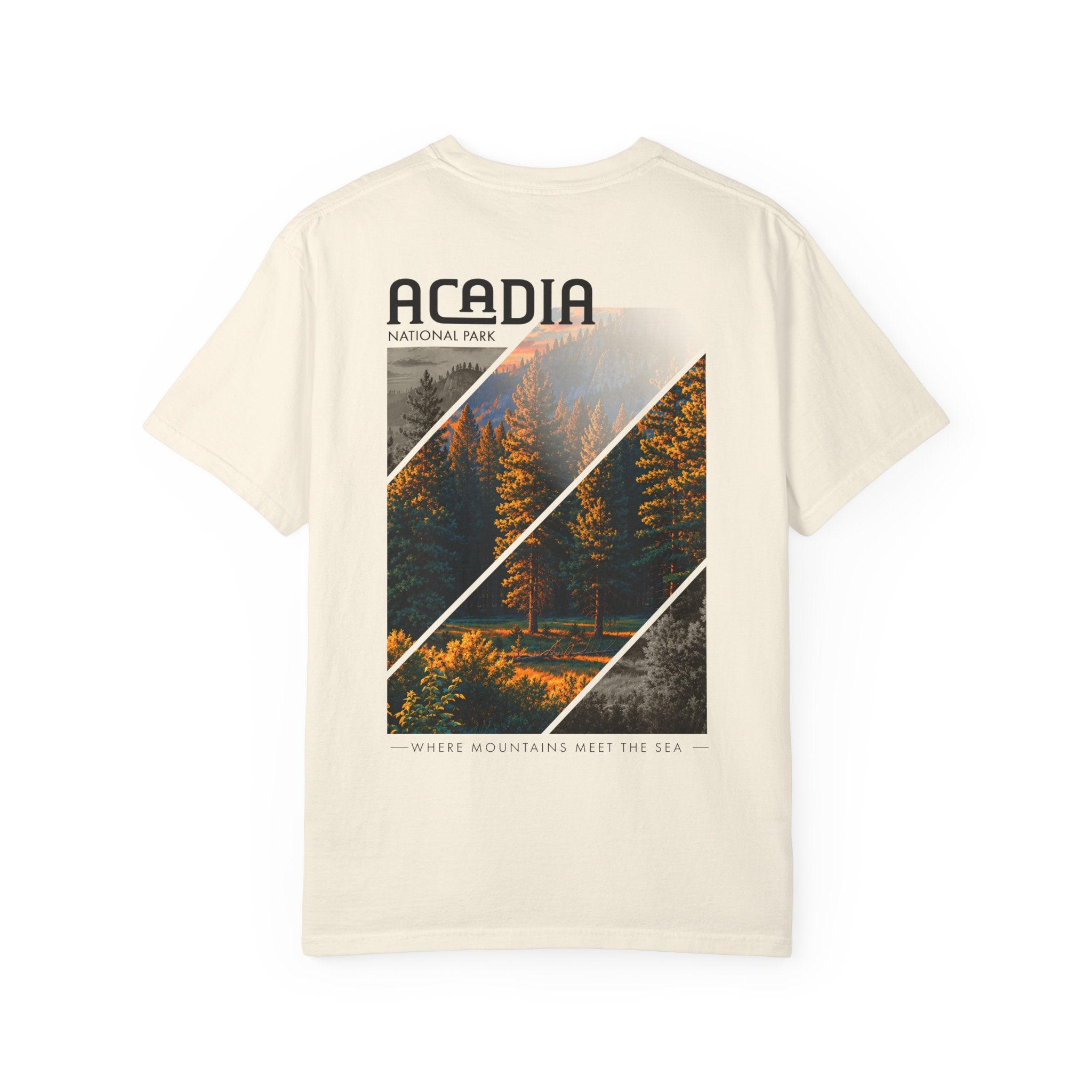 Acadia National Park Pine Trees Graphic T-Shirt
