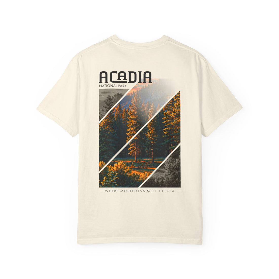Acadia National Park Pine Trees Graphic T-Shirt