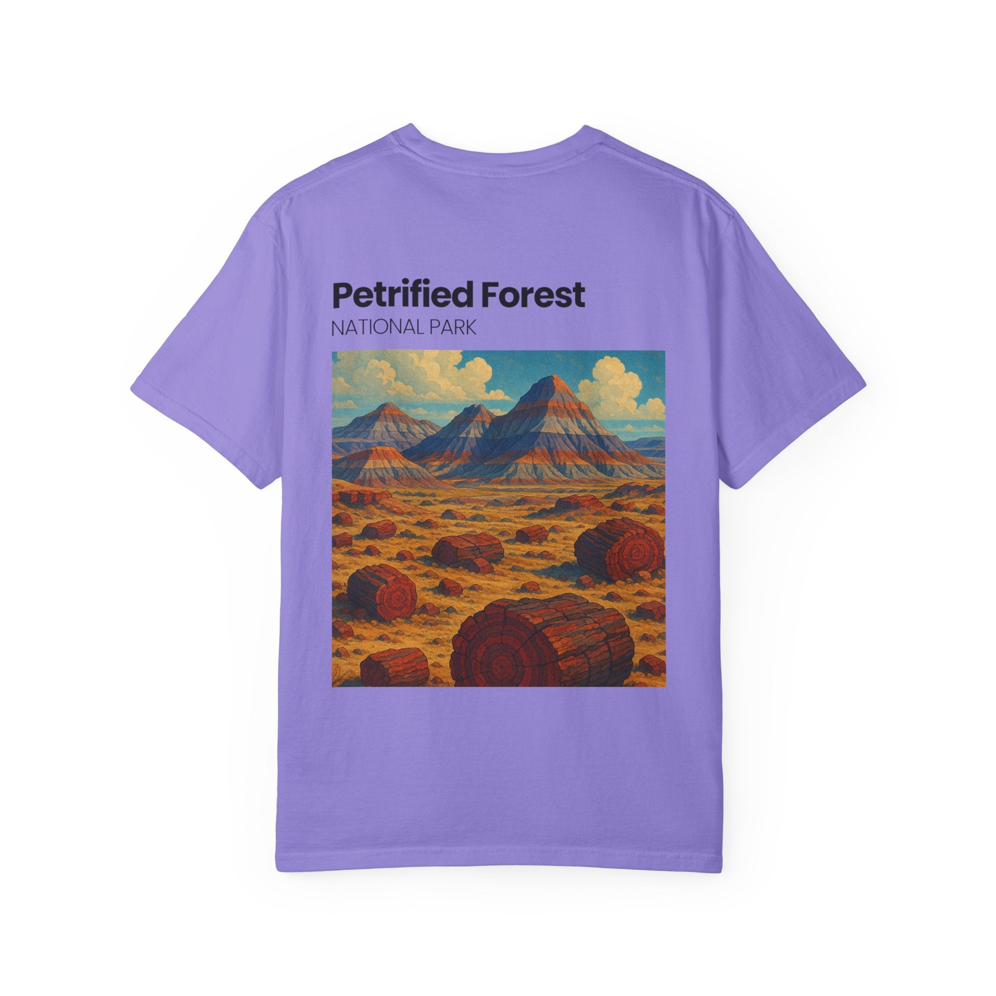 Petrified Forest National Park Poster T-shirt | Vintage Landscape Print