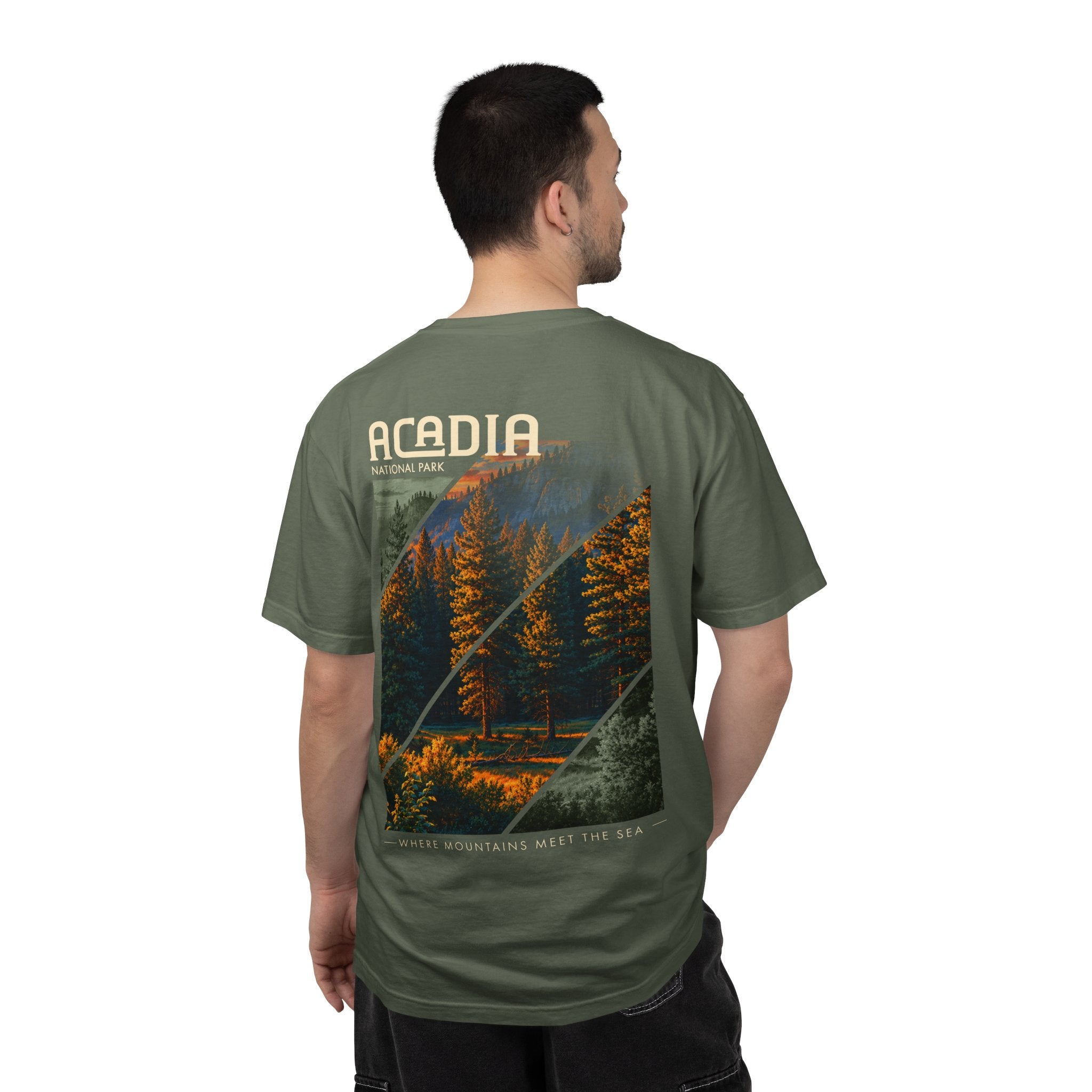 Acadia National Park Pine Trees Graphic T-Shirt