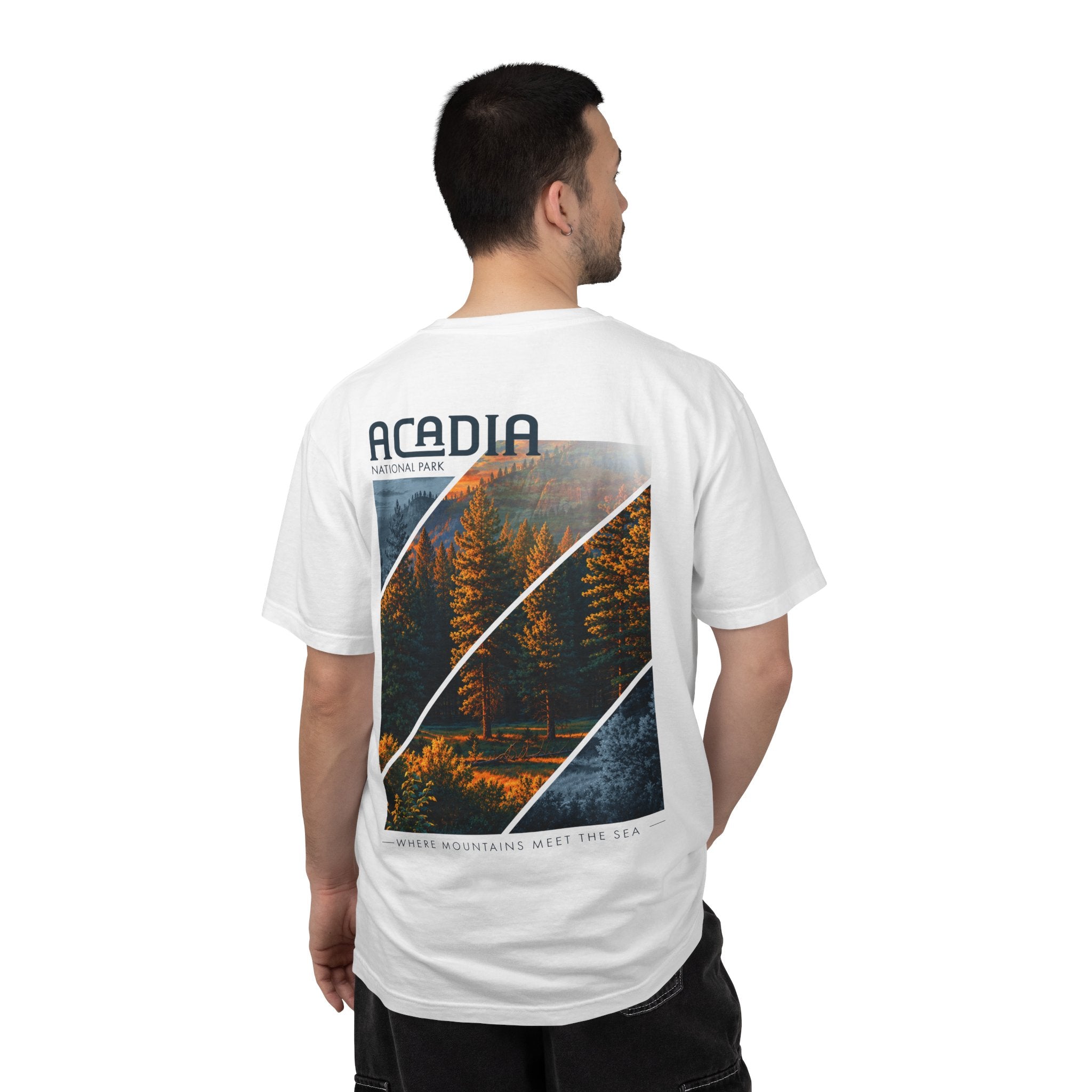 Acadia National Park Pine Trees Graphic T-Shirt
