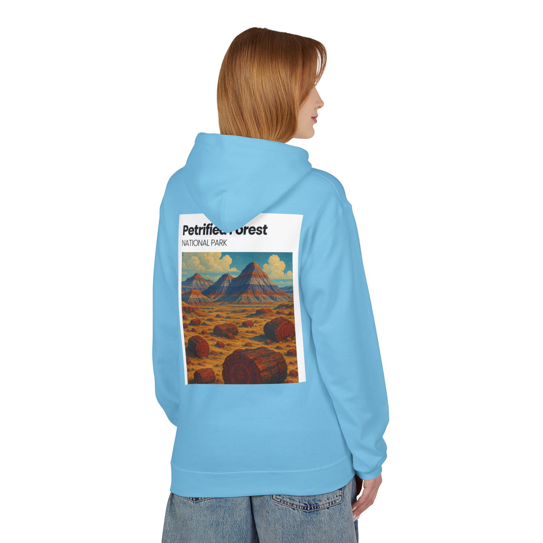 Petrified Forest National Park Hoodie | Vintage Desert Landscape