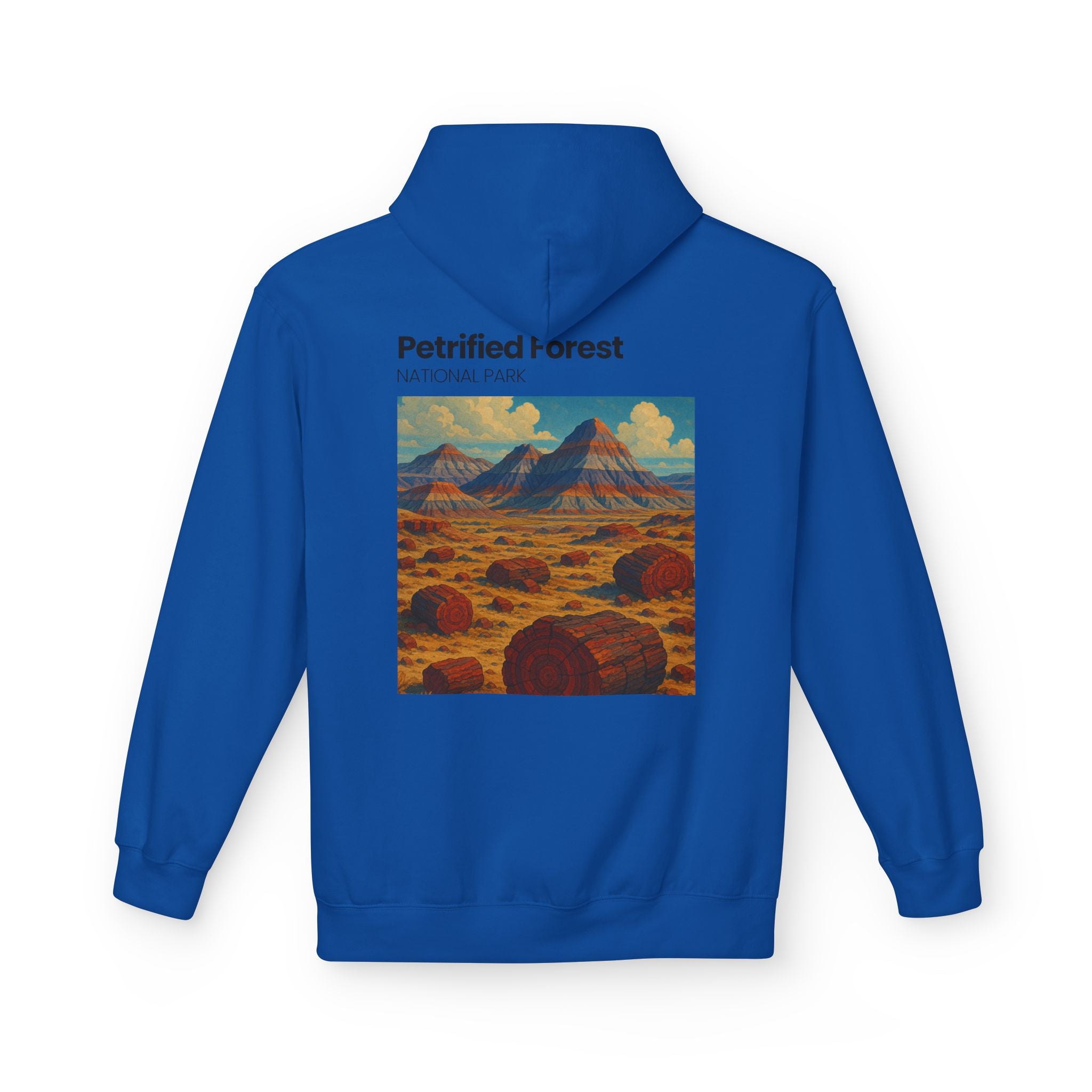 Petrified Forest National Park Hoodie | Vintage Desert Landscape