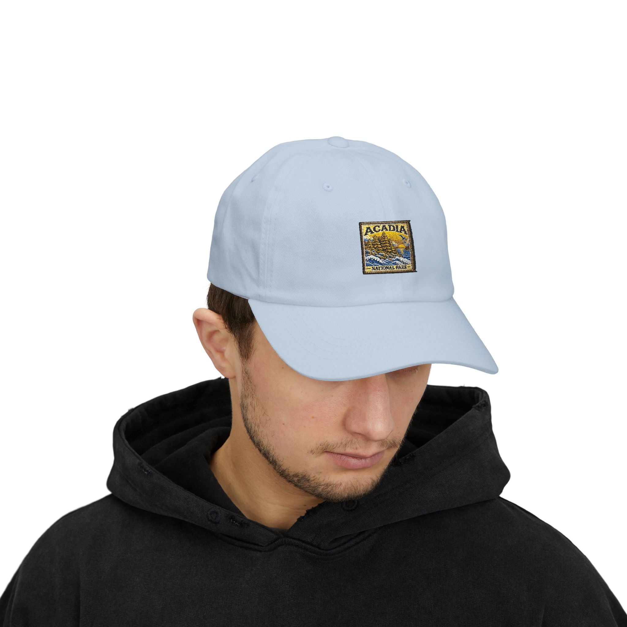 Acadia National Park Pine Trees Square Logo Dad Cap