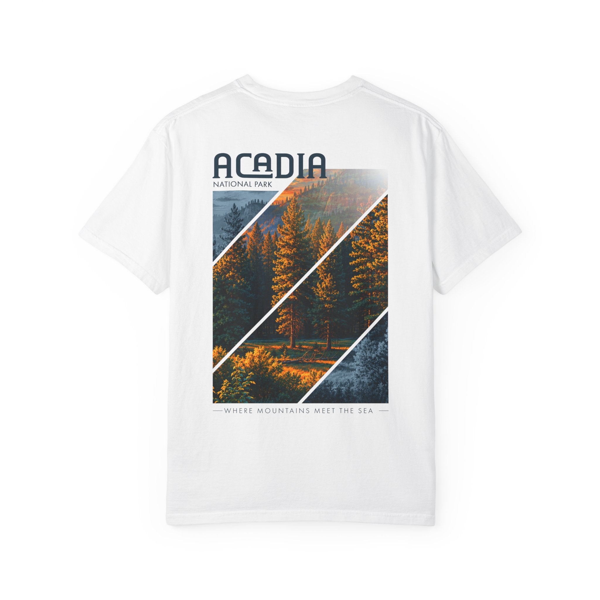Acadia National Park Pine Trees Graphic T-Shirt