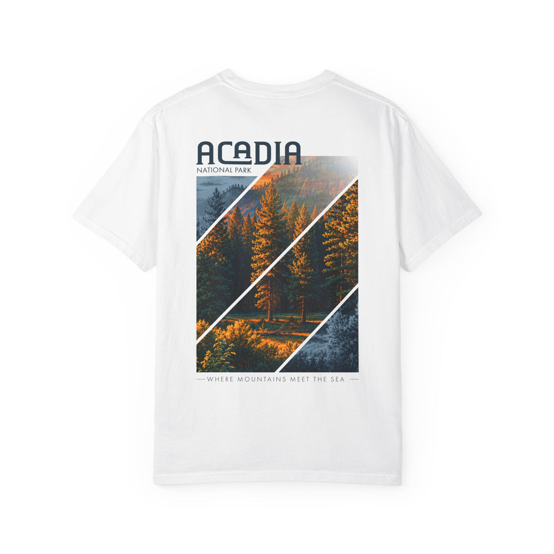 Acadia National Park Pine Trees Graphic T-Shirt