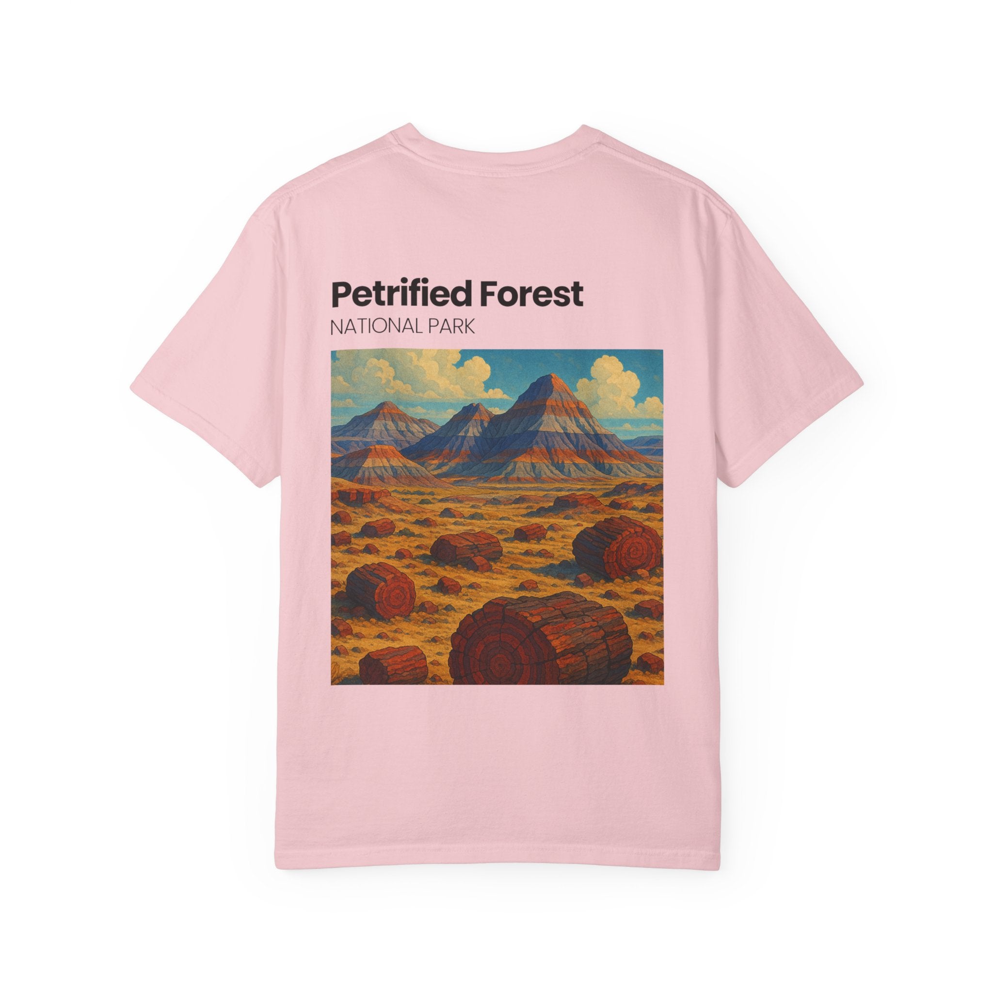 Petrified Forest National Park Poster T-shirt | Vintage Landscape Print