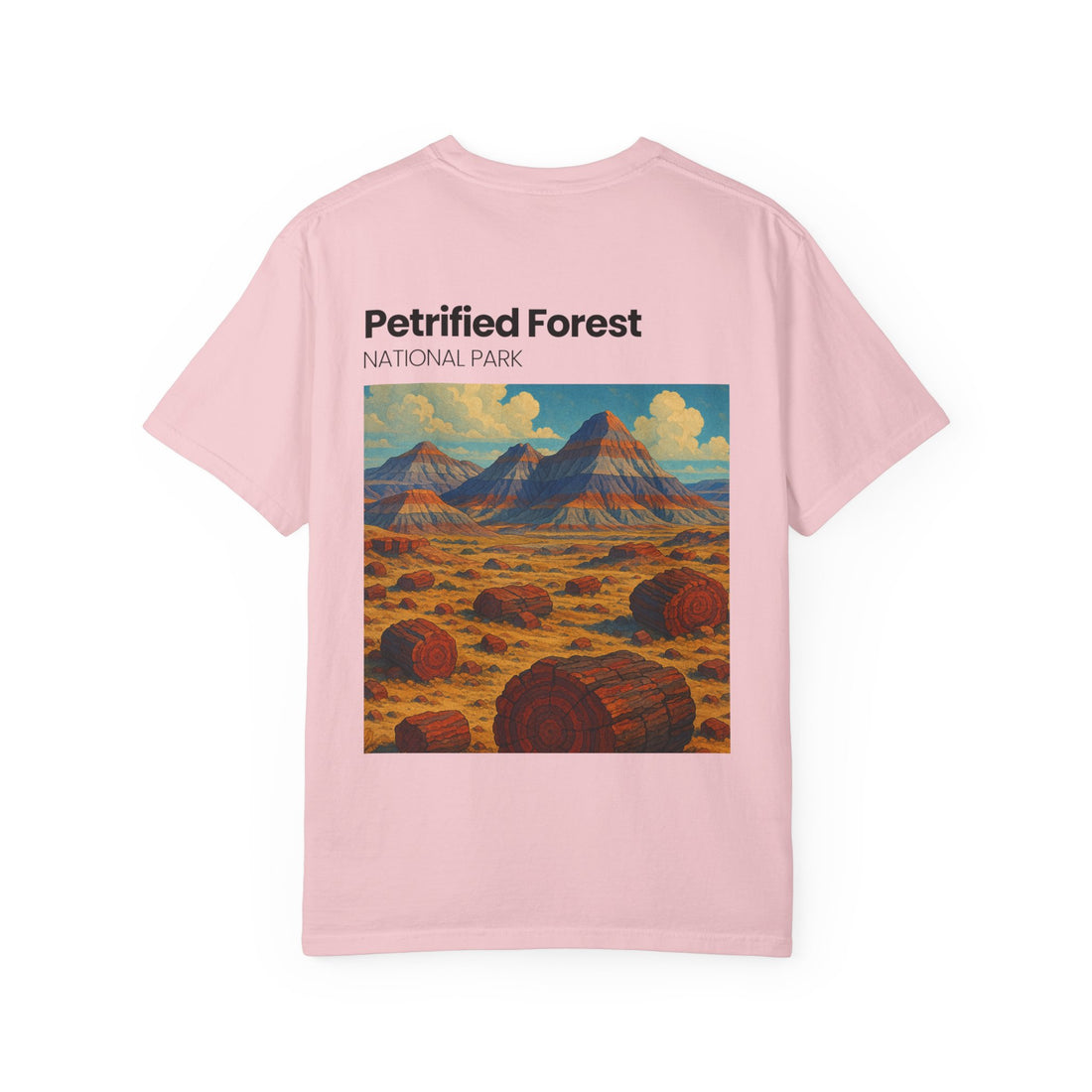 Petrified Forest National Park Poster T-shirt | Vintage Landscape Print