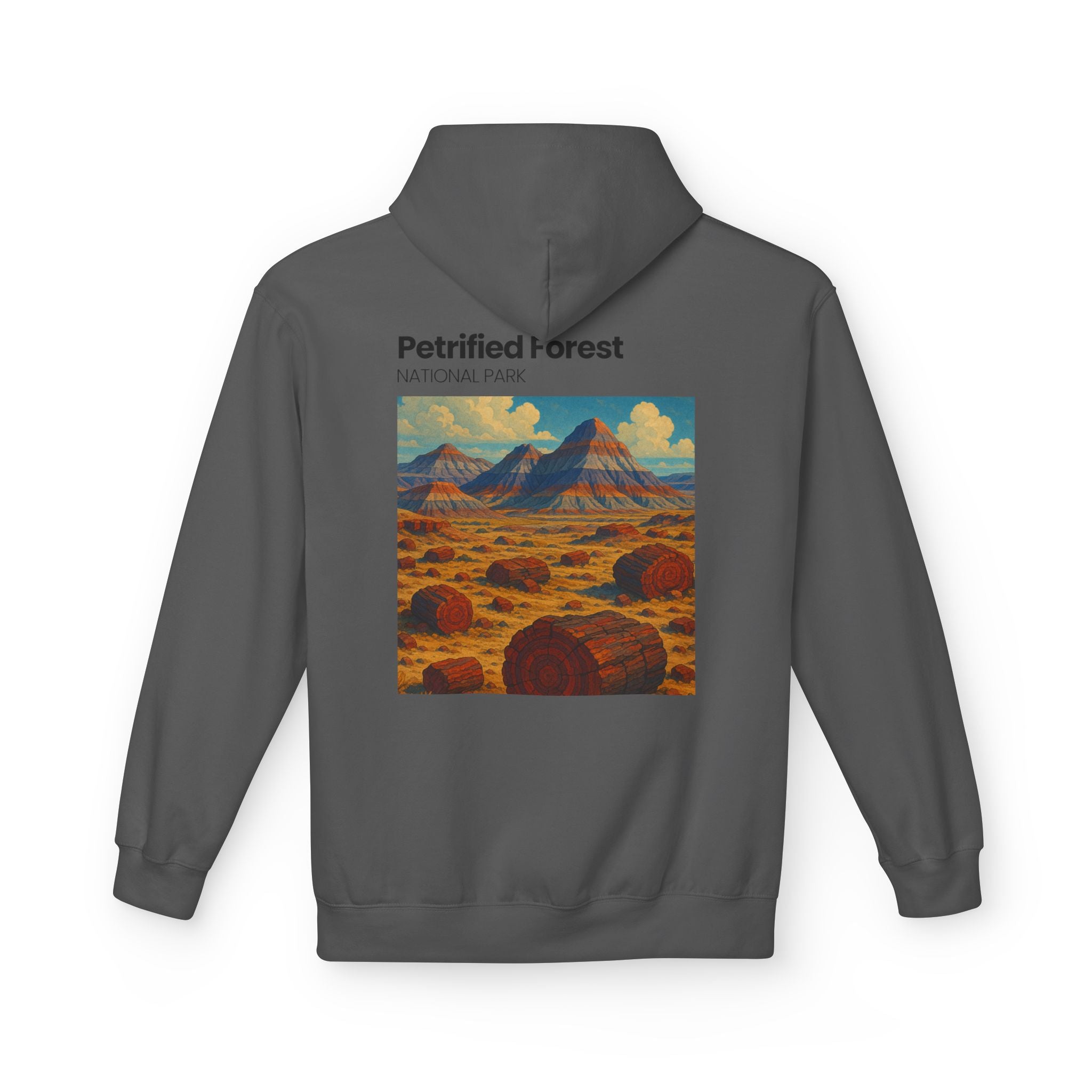 Petrified Forest National Park Hoodie | Vintage Desert Landscape