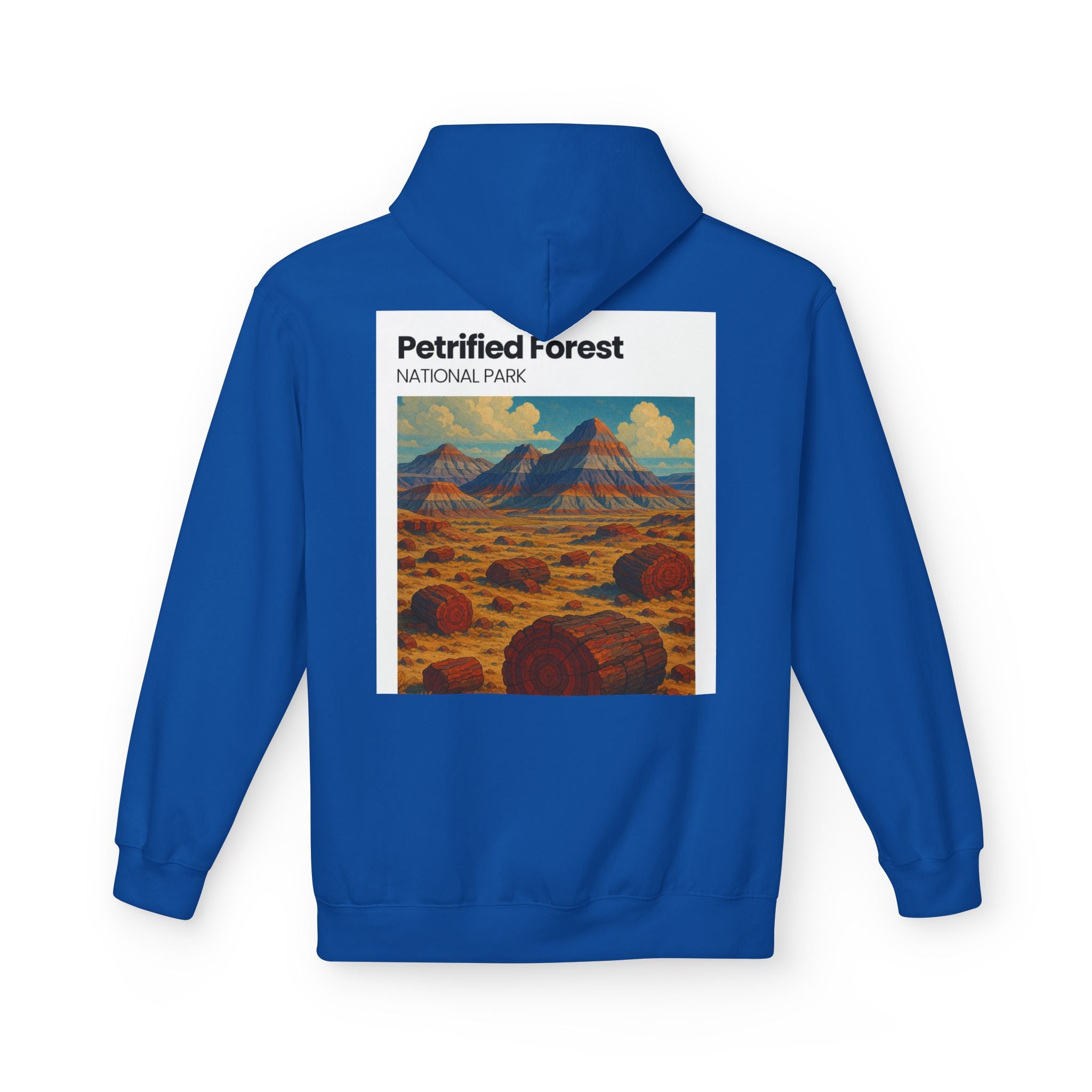 Petrified Forest National Park Hoodie | Vintage Desert Landscape