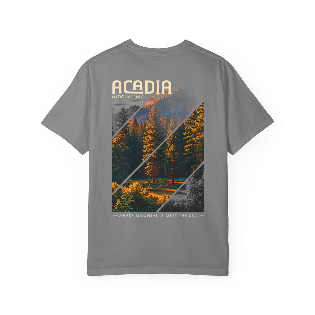 Acadia National Park Pine Trees Graphic T-Shirt