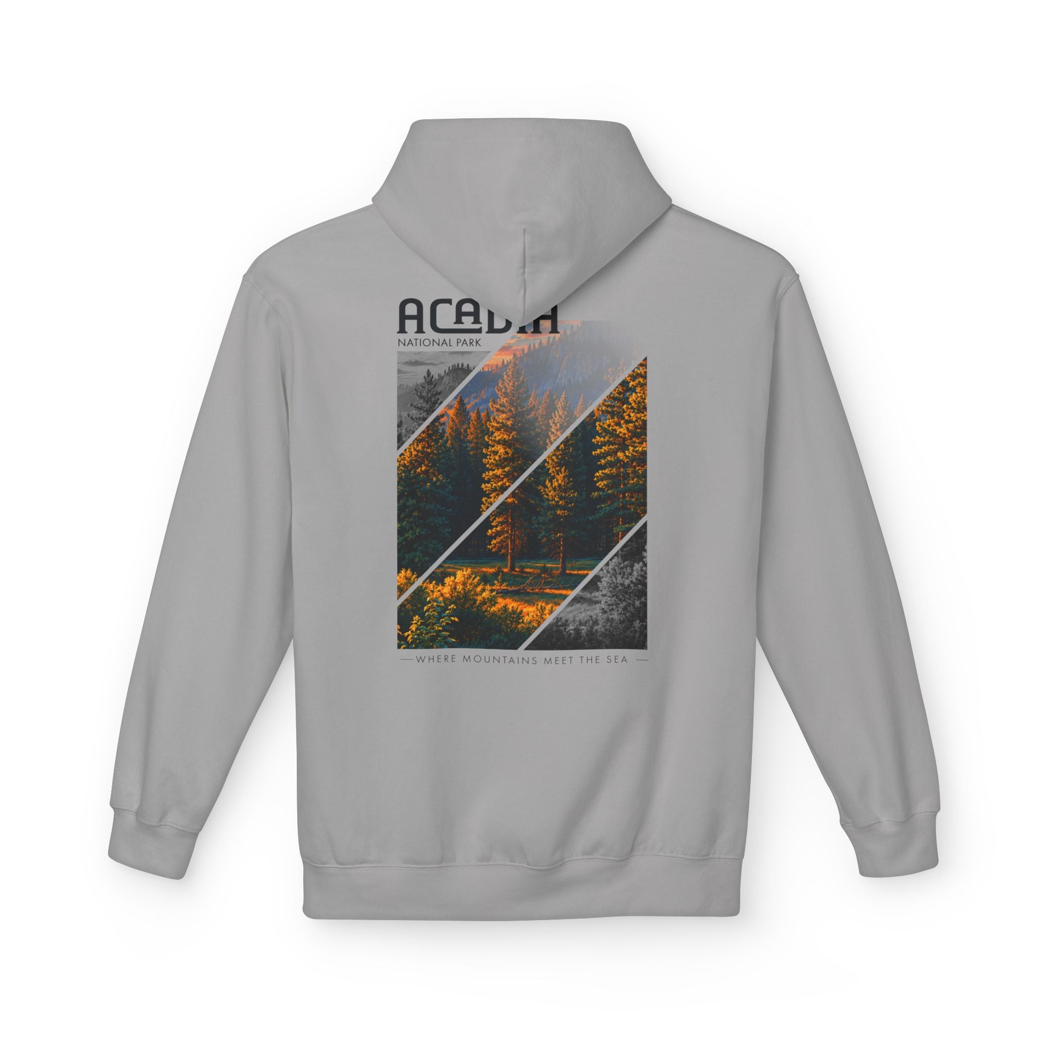 Acadia National Park Pine Trees Graphic hoodie
