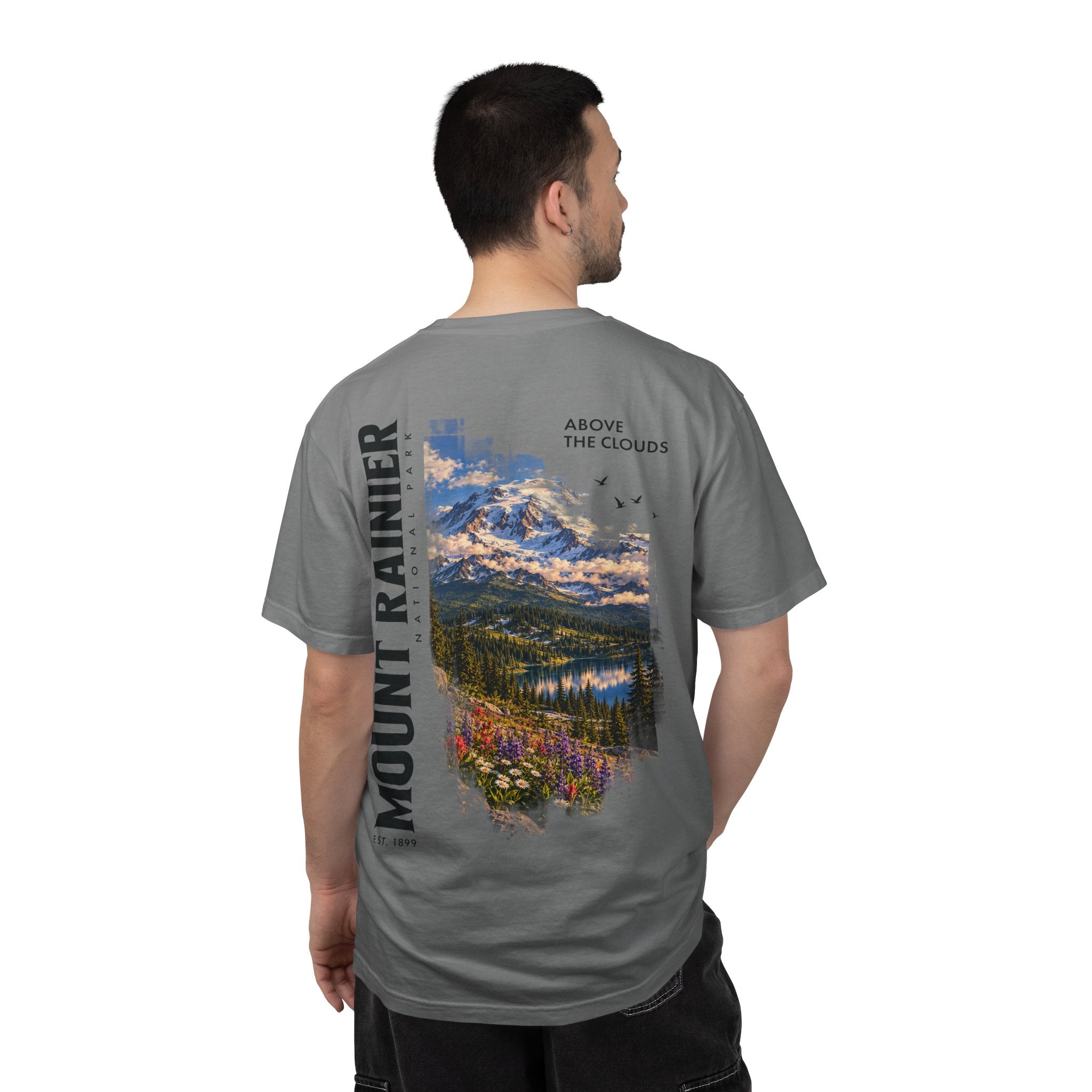 Mount Rainier National Park – Alpine Scene Graphic T-Shirt