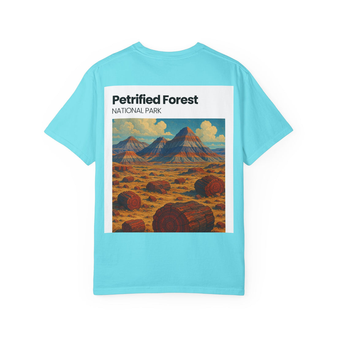 Petrified Forest National Park Poster T-shirt | Vintage Landscape Print