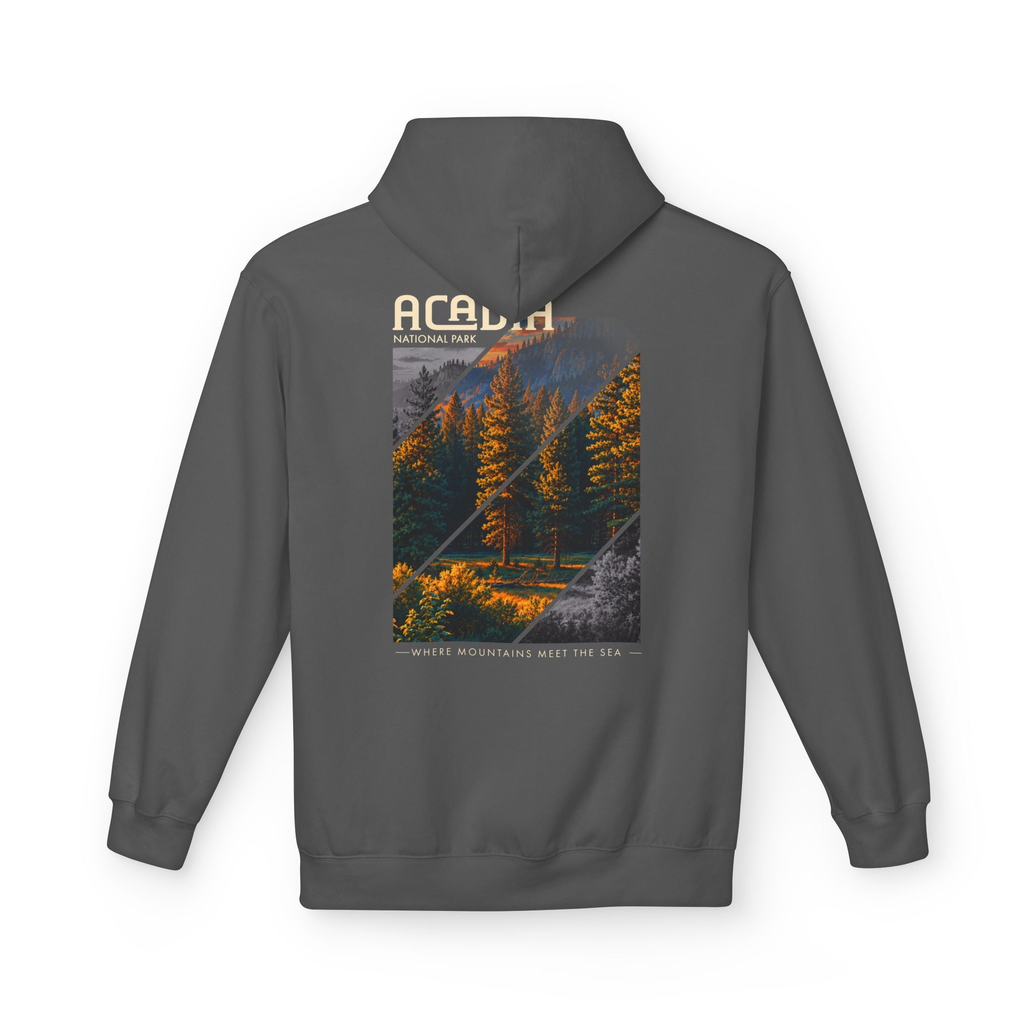 Acadia National Park Pine Trees Graphic hoodie