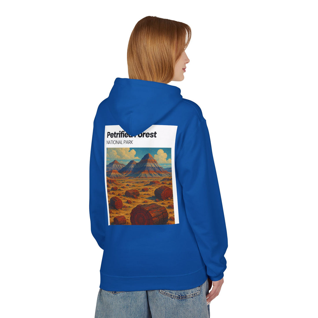 Petrified Forest National Park Hoodie | Vintage Desert Landscape