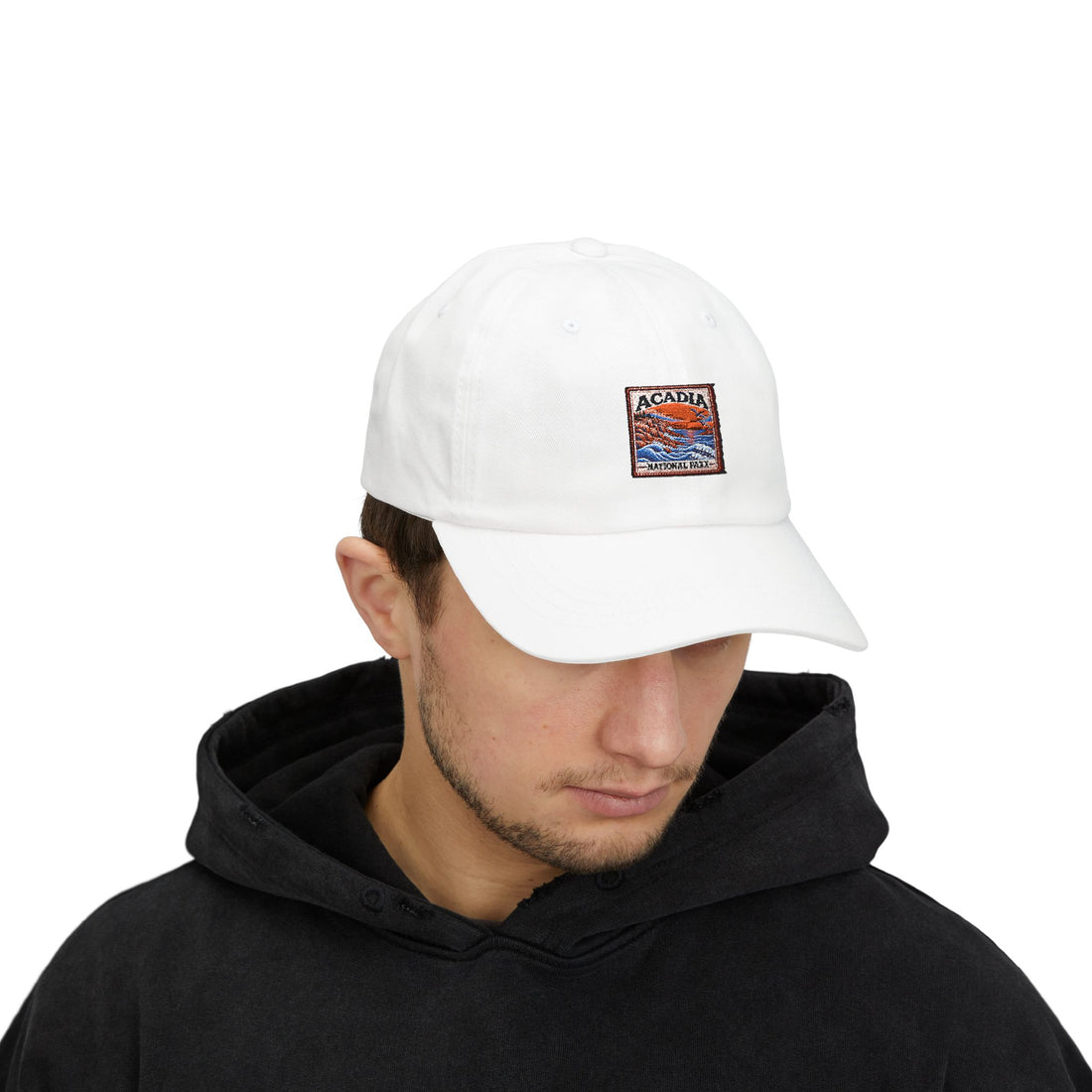 Acadia National Park Rocky Coast Square Logo Dad Cap