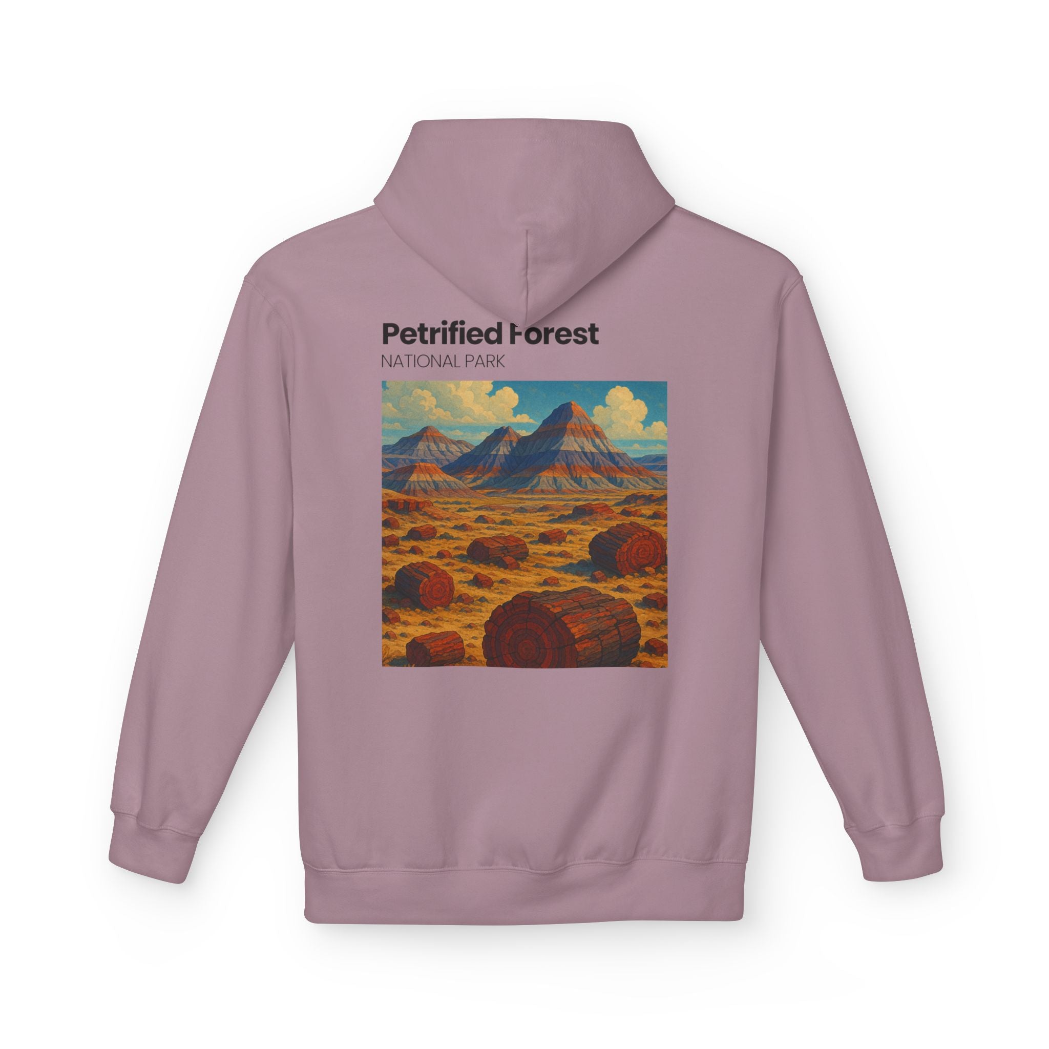 Petrified Forest National Park Hoodie | Vintage Desert Landscape