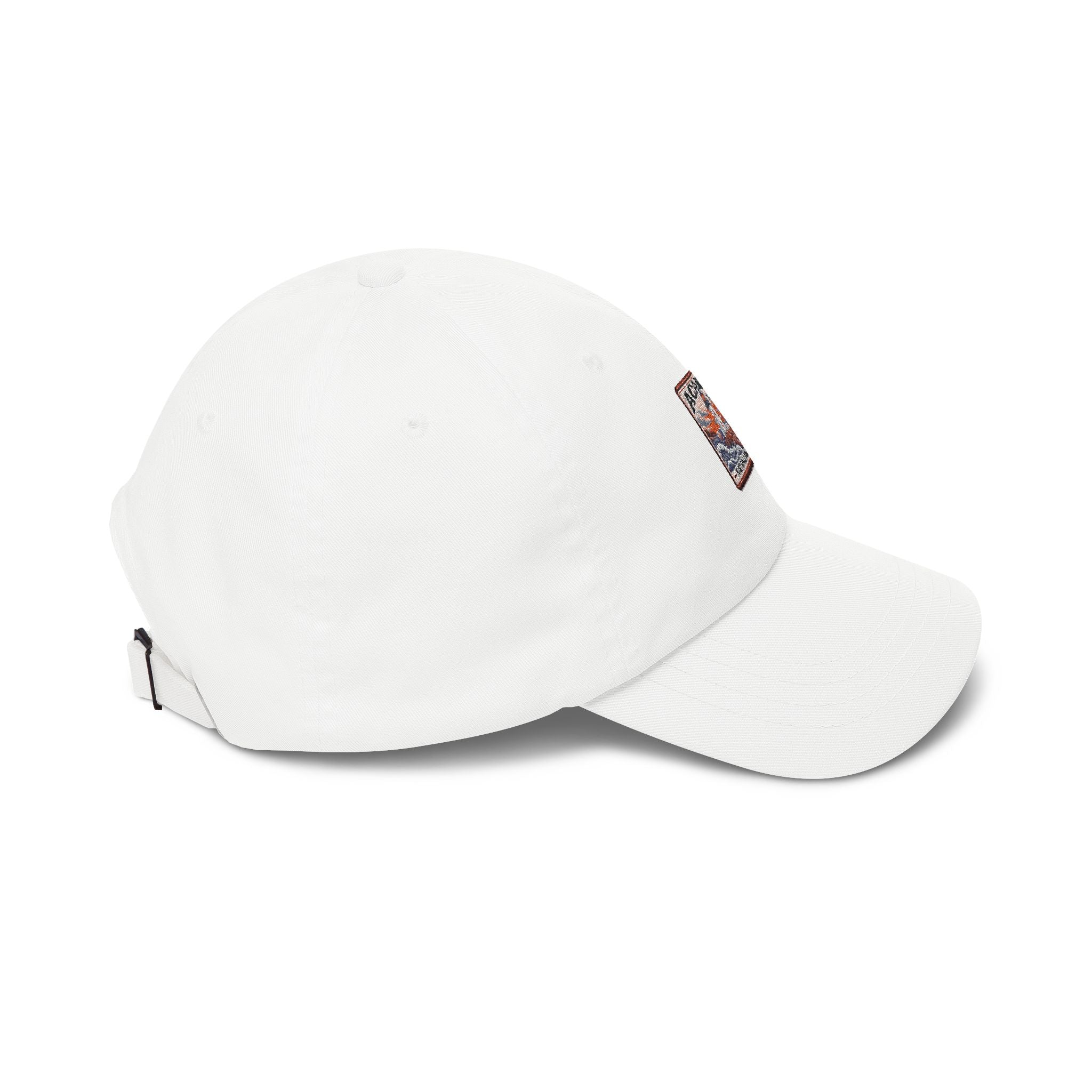 Acadia National Park Lighthouse Square Logo Dad Cap