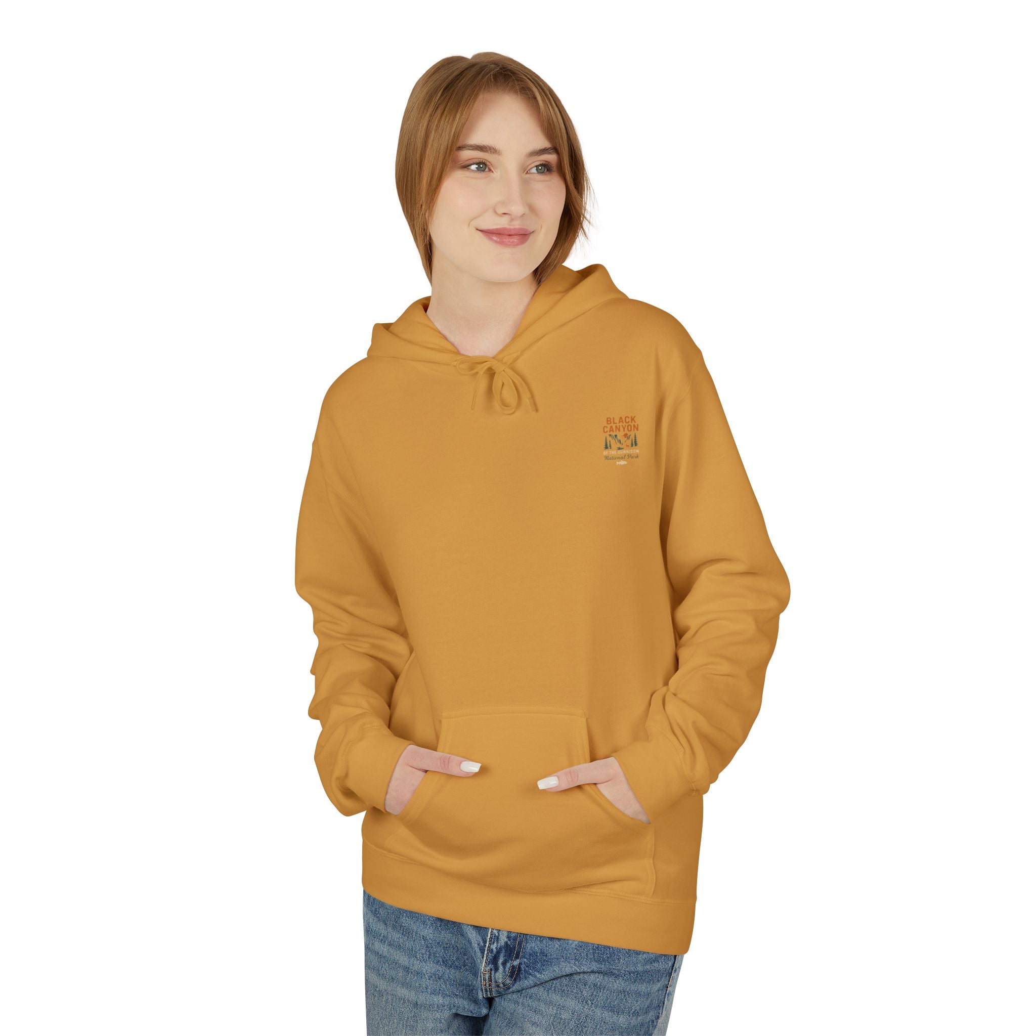 Black Canyon National Park Hoodie | Vintage Canyon Sunset Illustration