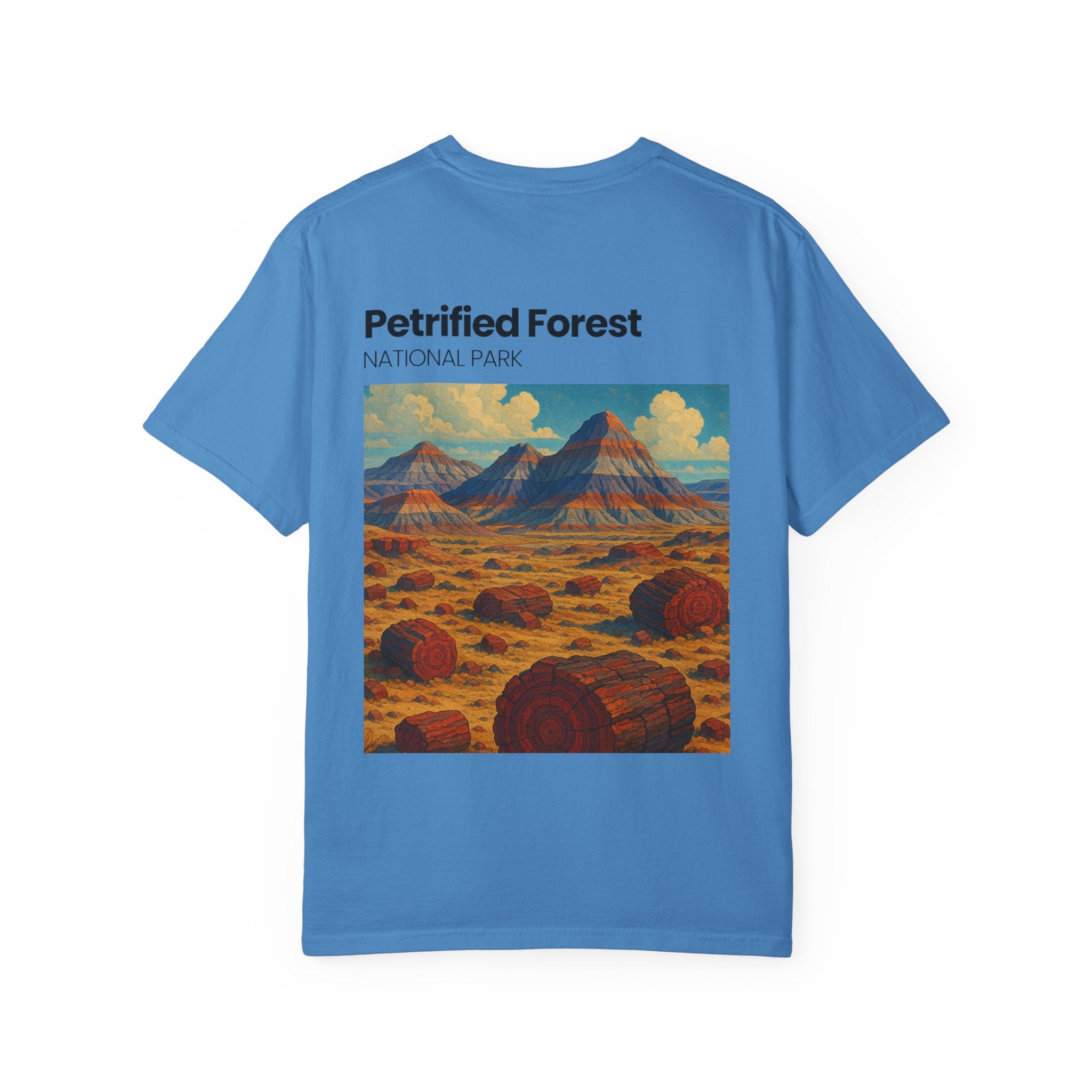 Petrified Forest National Park Poster T-shirt | Vintage Landscape Print