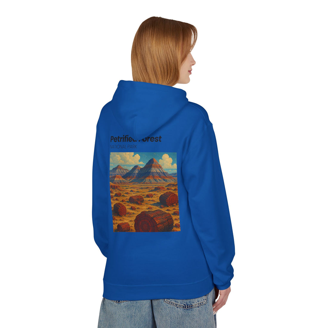 Petrified Forest National Park Hoodie | Vintage Desert Landscape