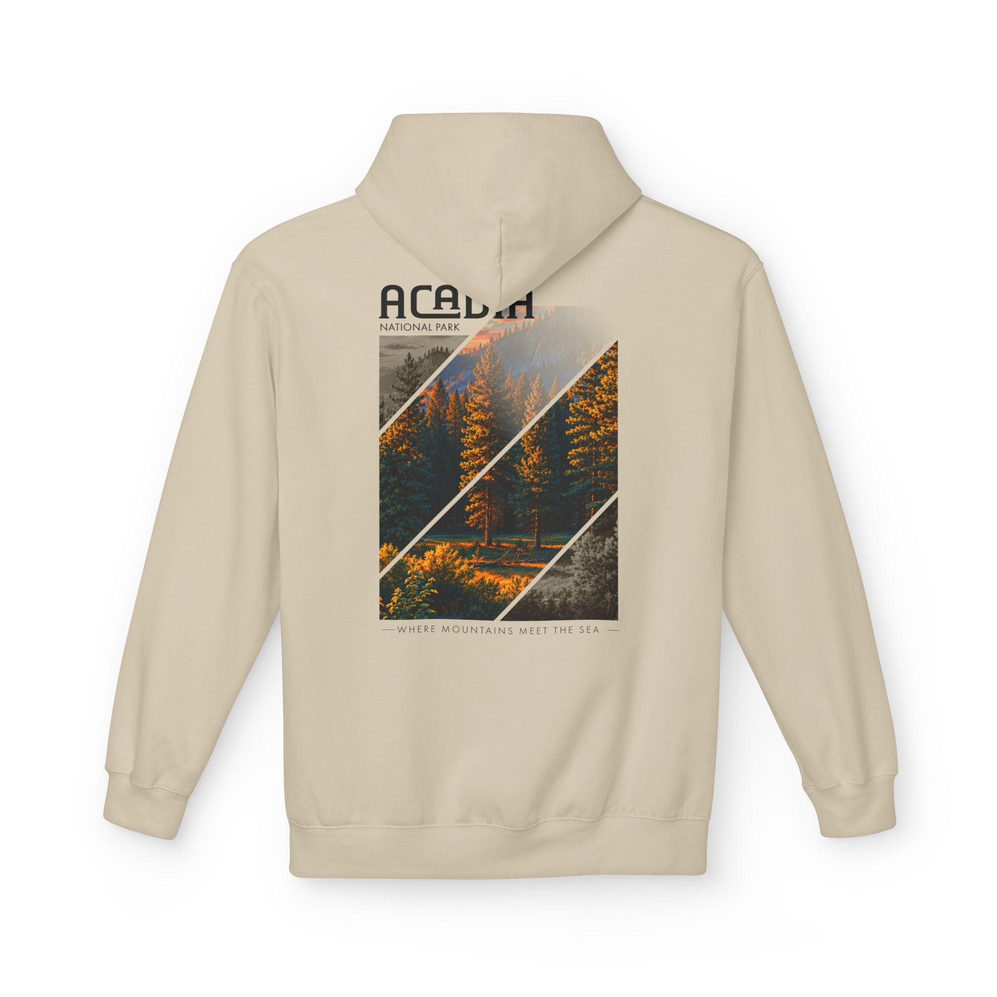 Acadia National Park Pine Trees Graphic hoodie