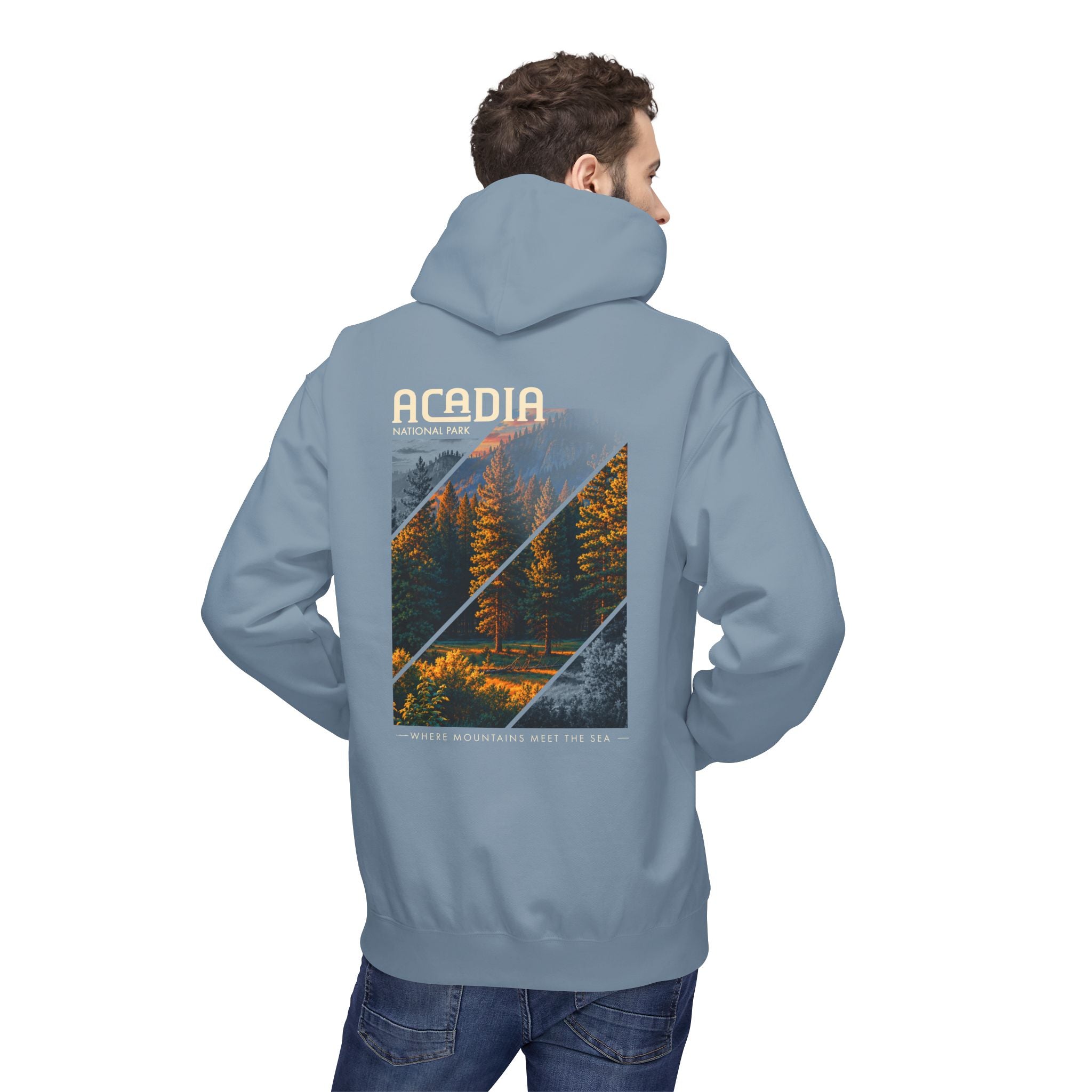 Acadia National Park Pine Trees Graphic hoodie